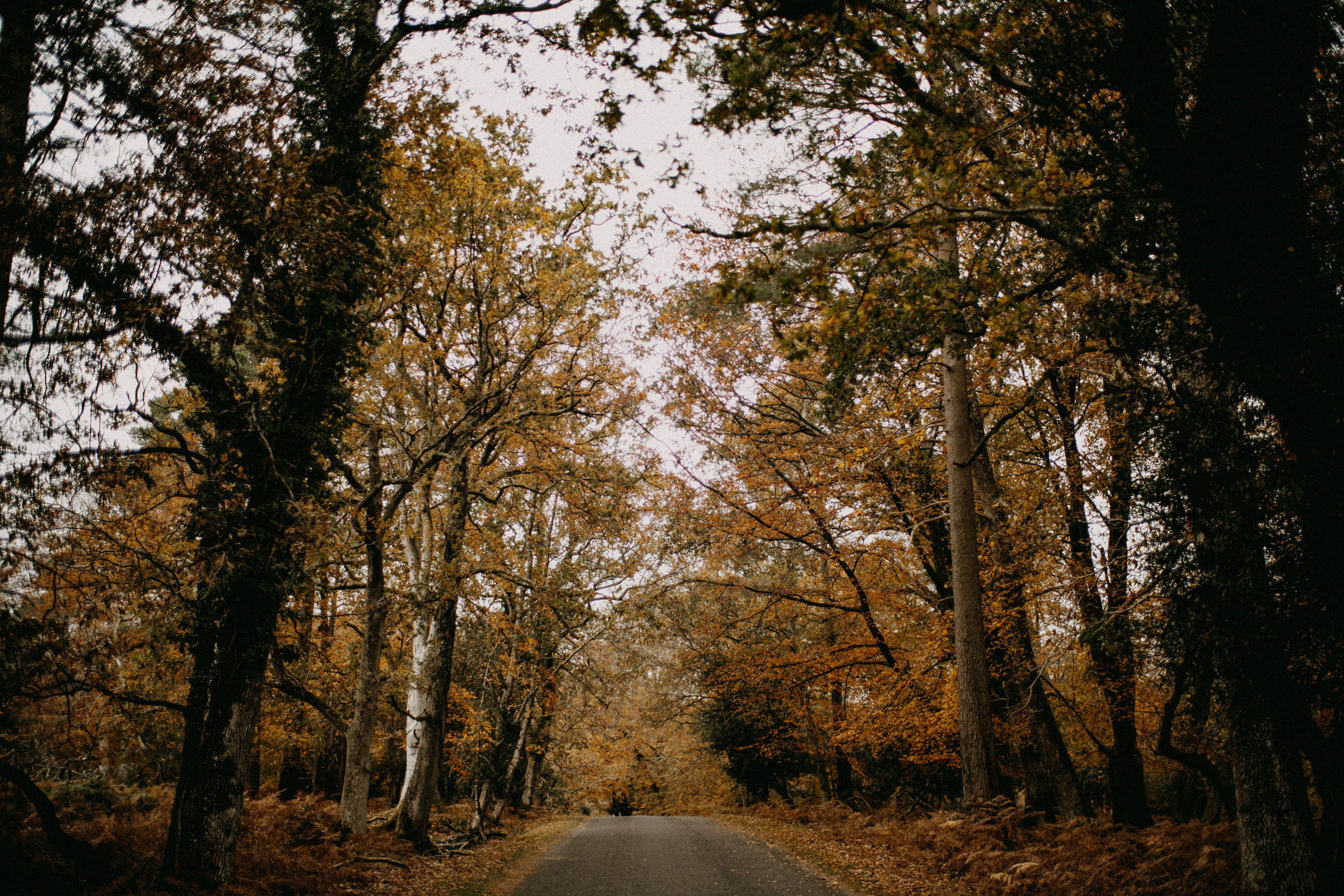 Photo by anniespratt