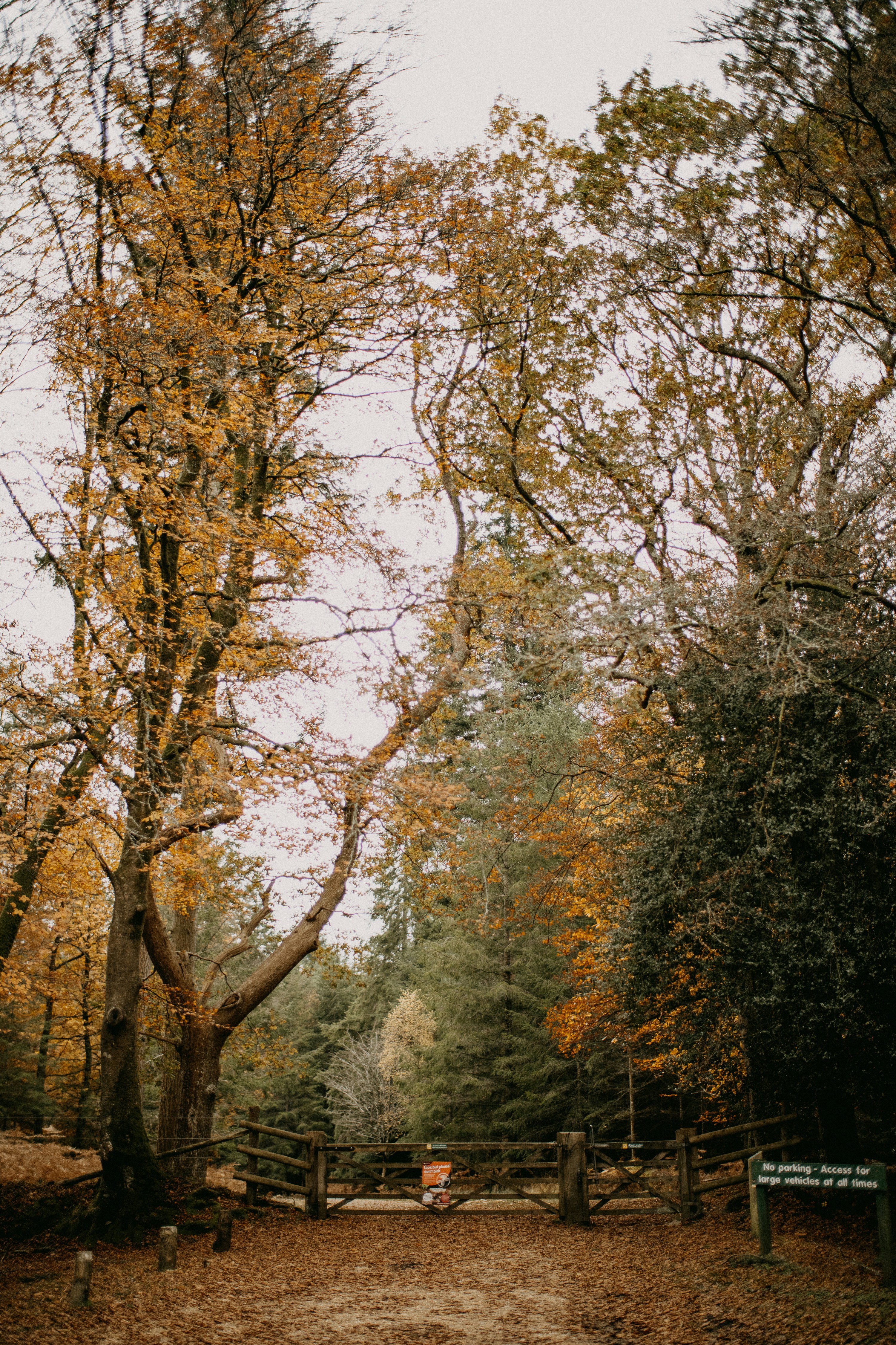 Photo by anniespratt