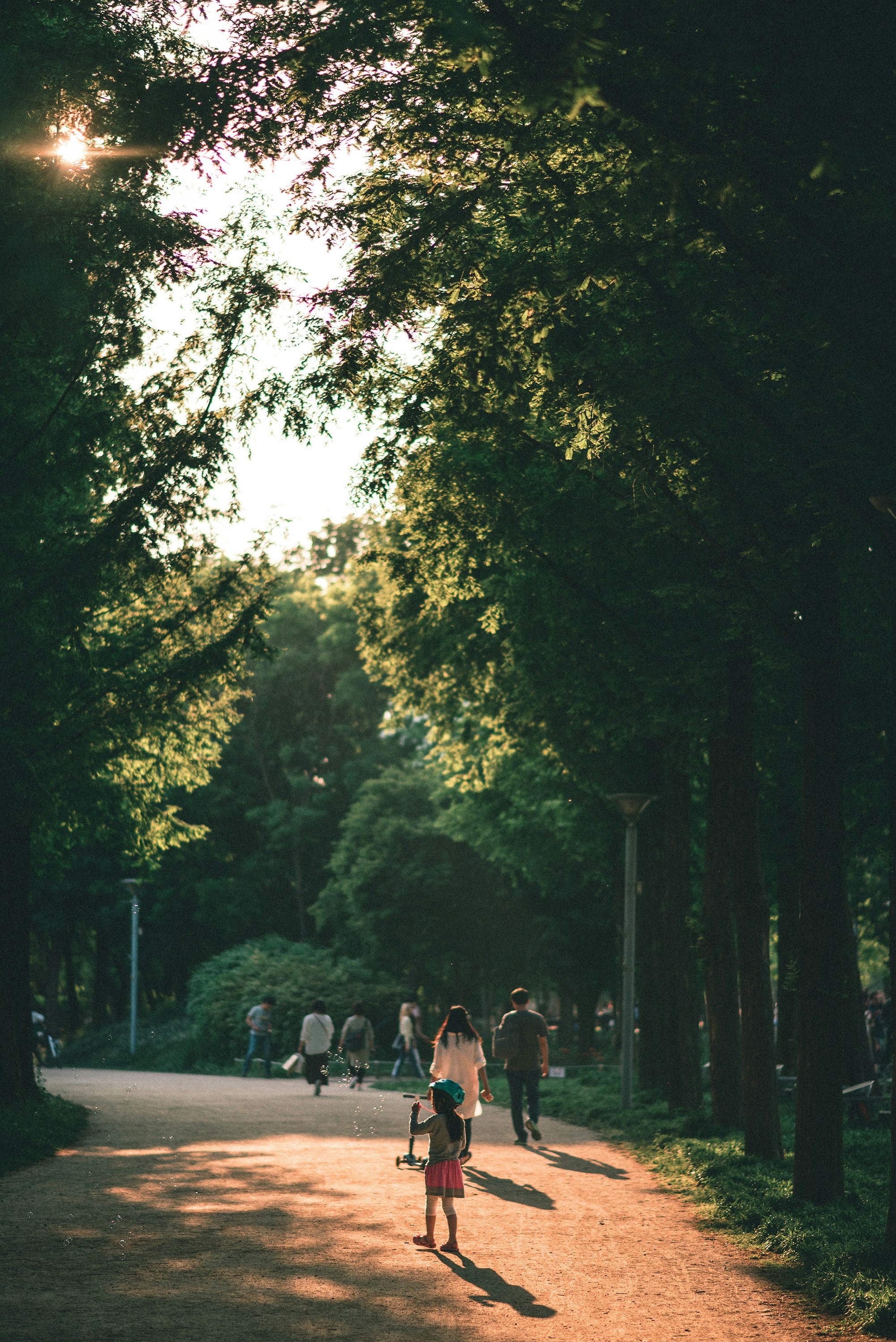 Photo by forest_bros