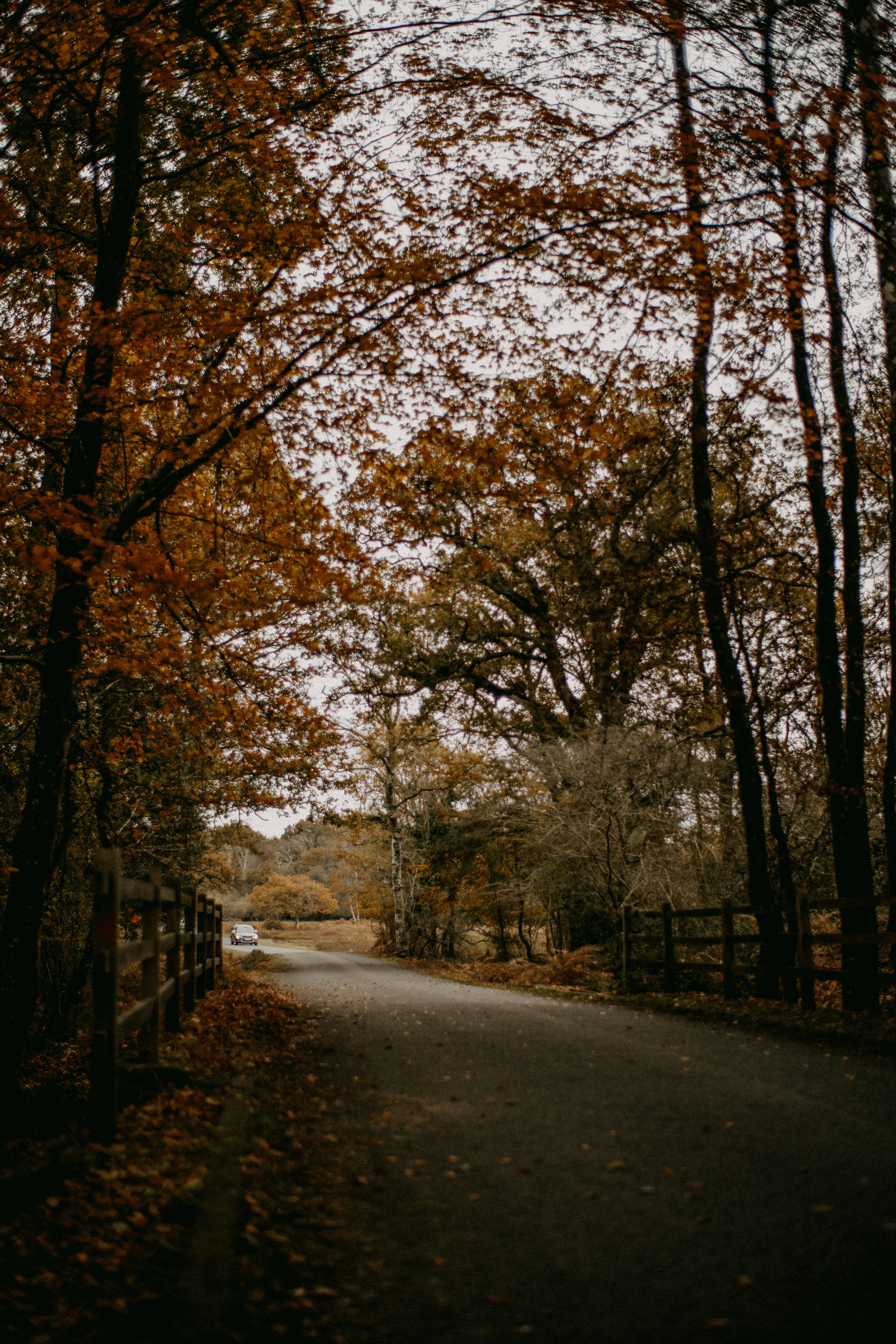 Photo by anniespratt