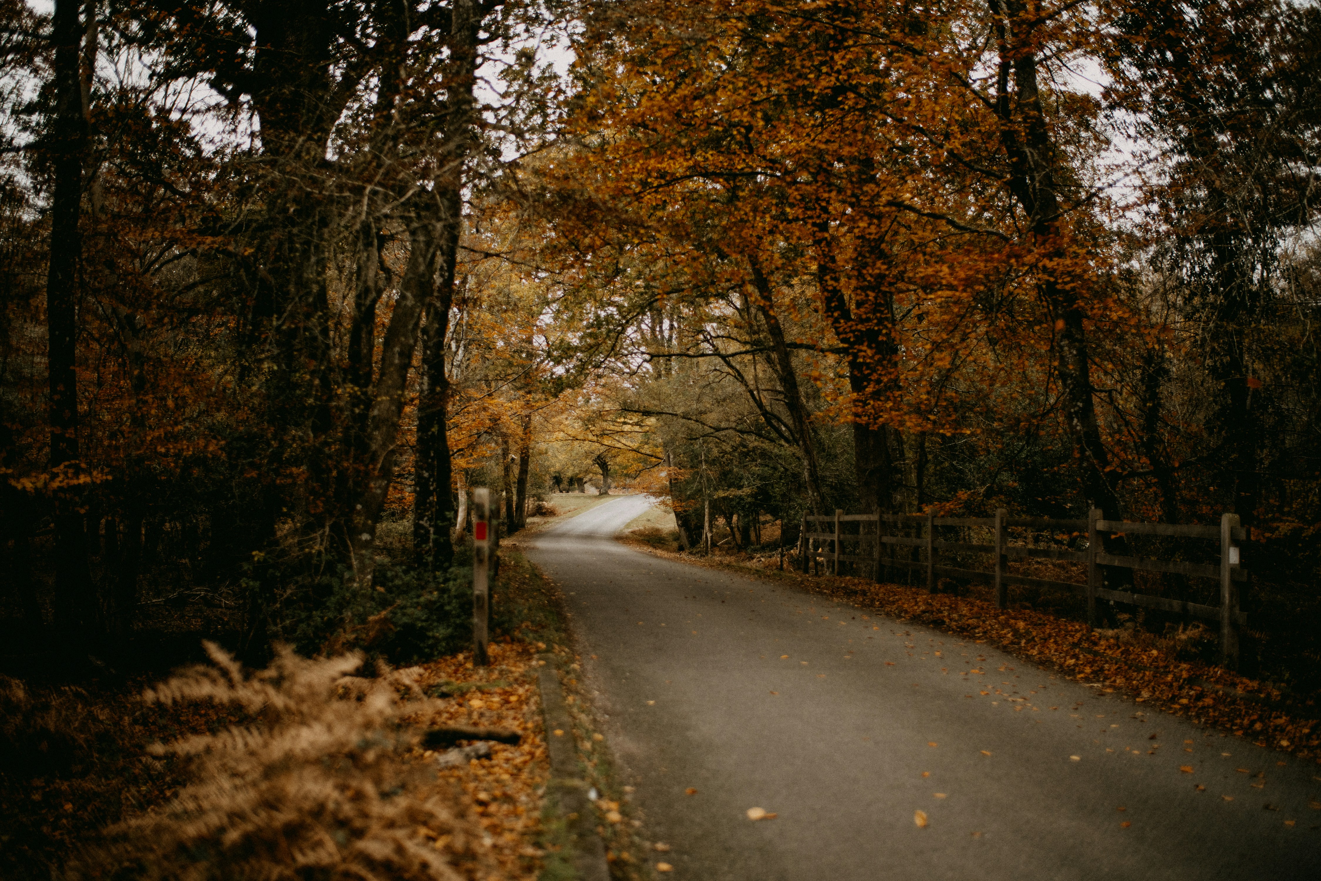 Photo by anniespratt