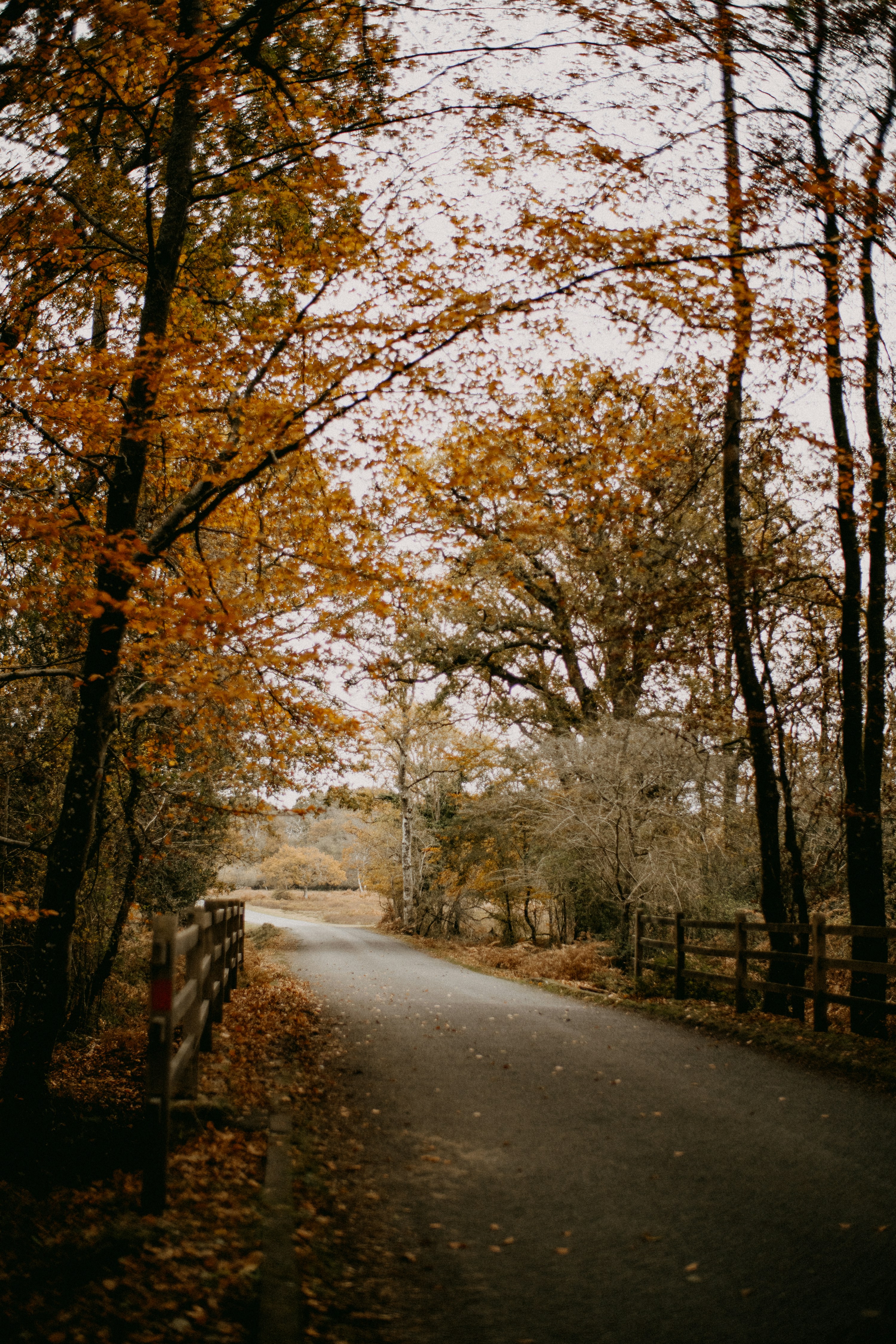 Photo by anniespratt