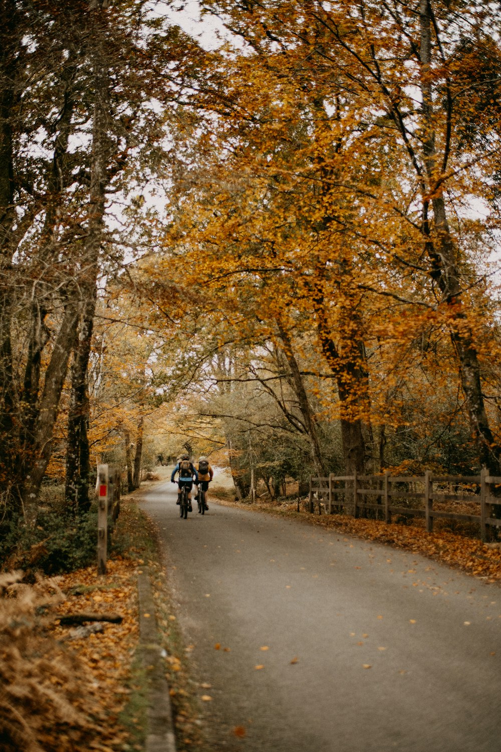 a couple of people riding on the back of a motorcycle down a road