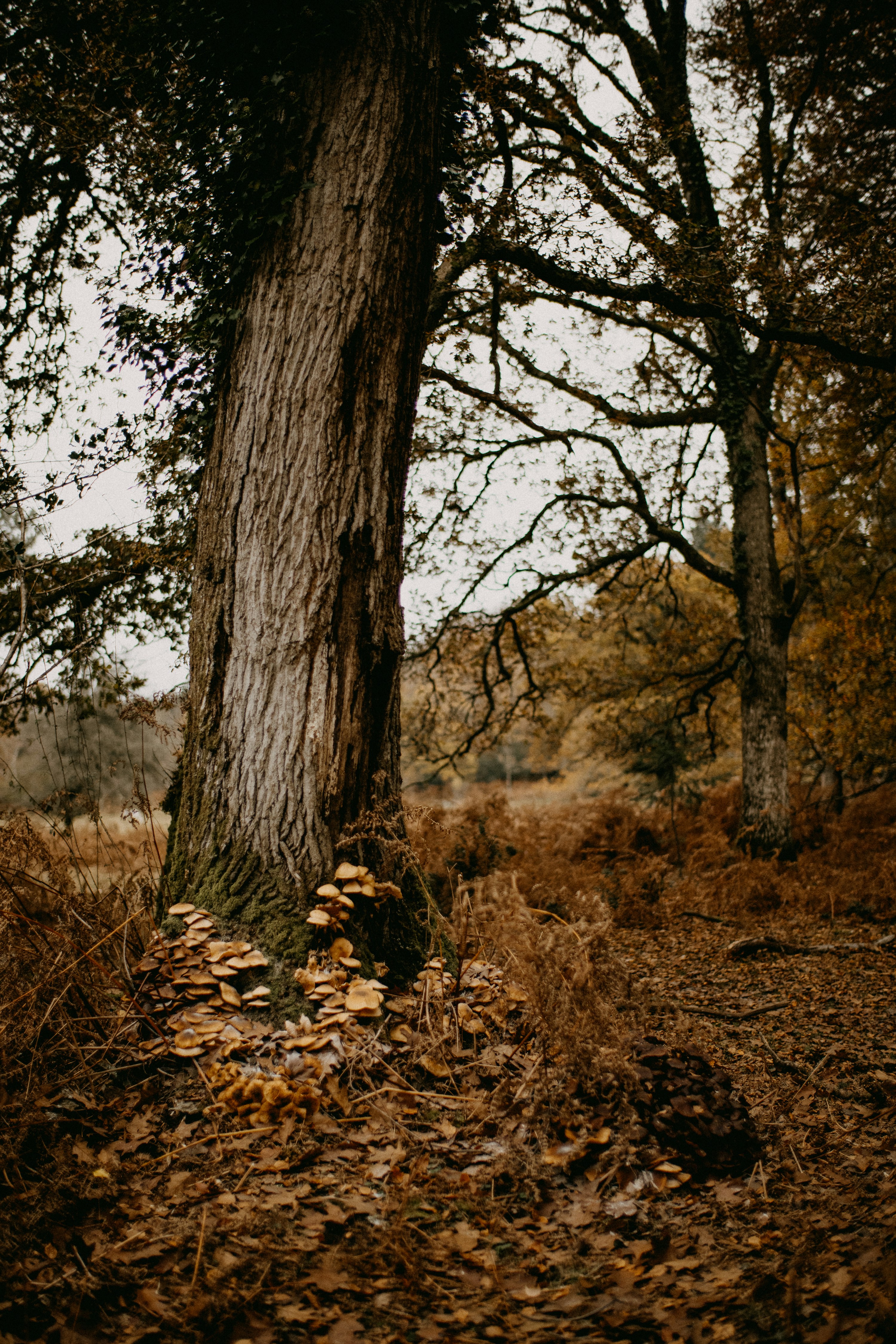 Photo by anniespratt