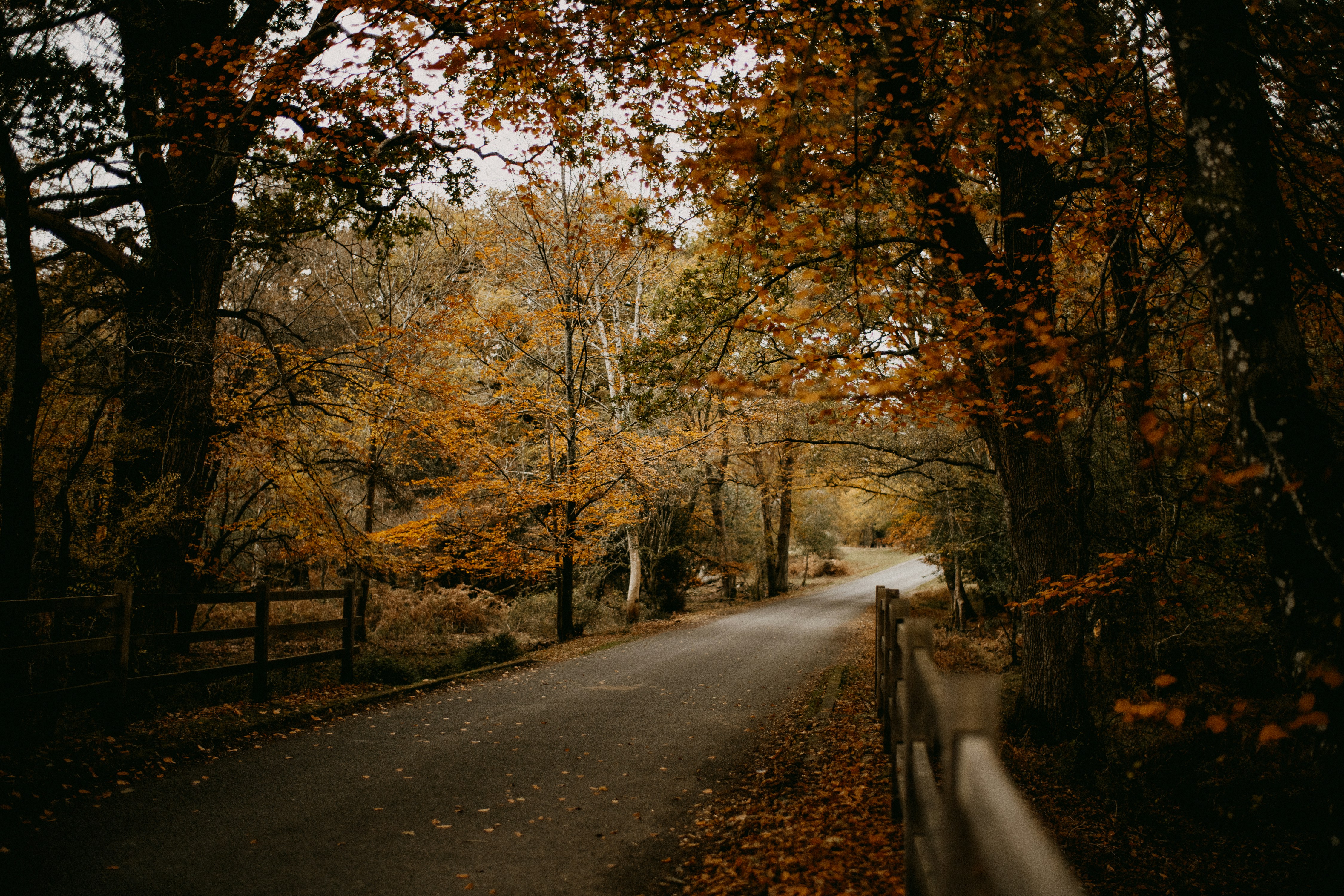 Photo by anniespratt