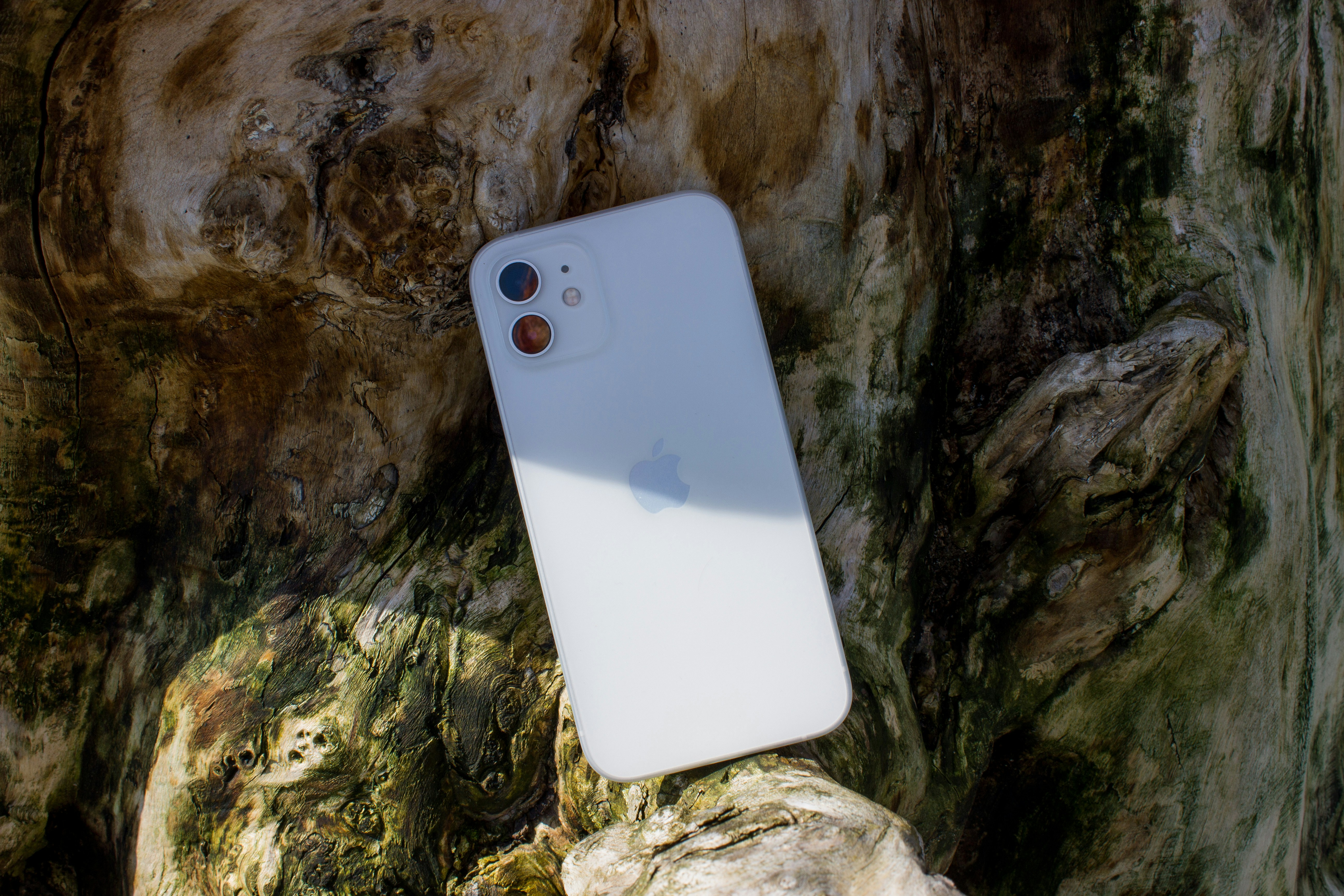 A biodegradable iPhone case was placed on the rocks.
