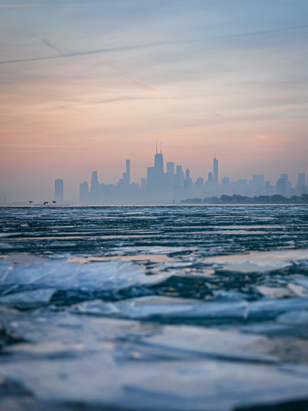 a view of a city skyline from the ocean