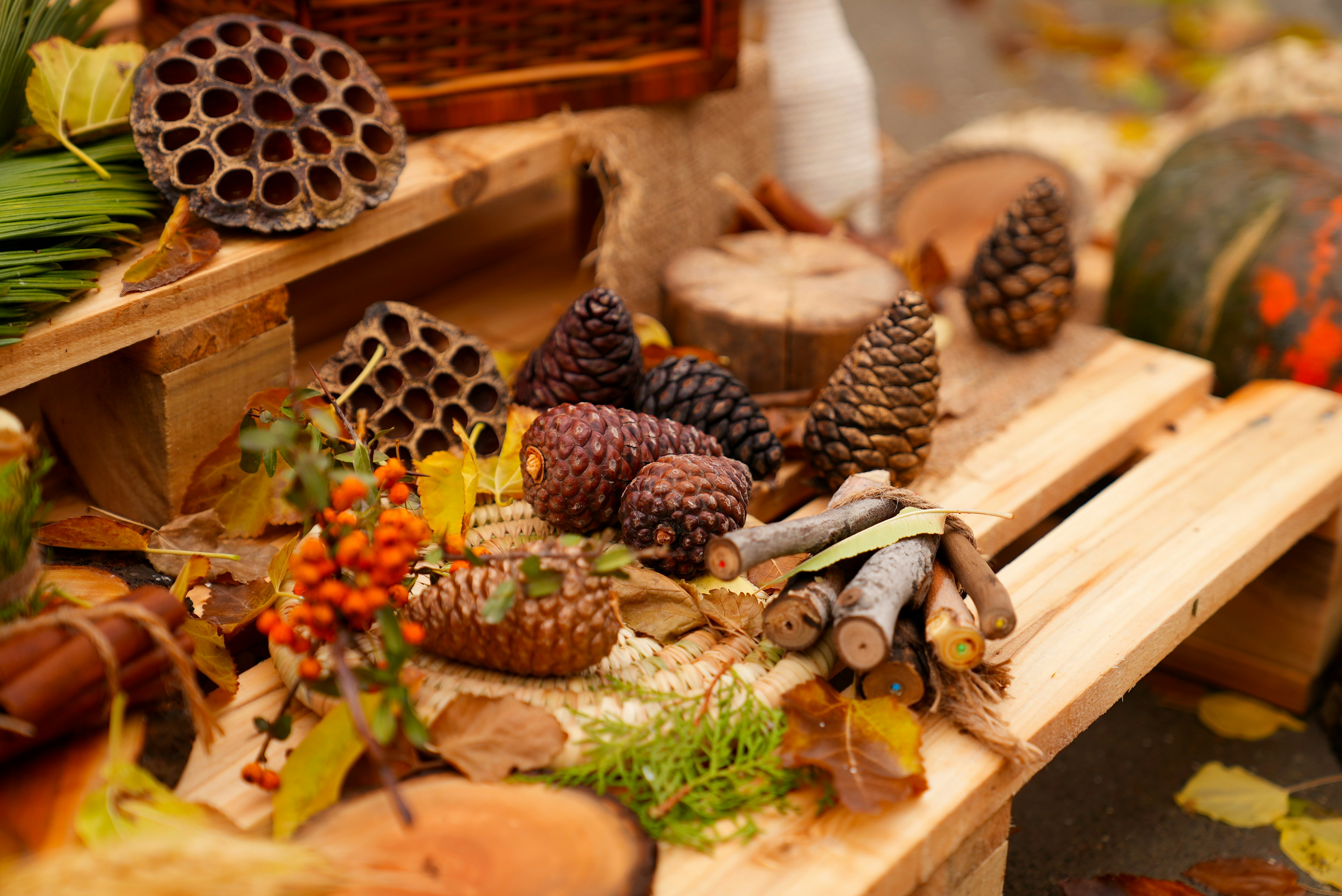 Photo by rafieeartist