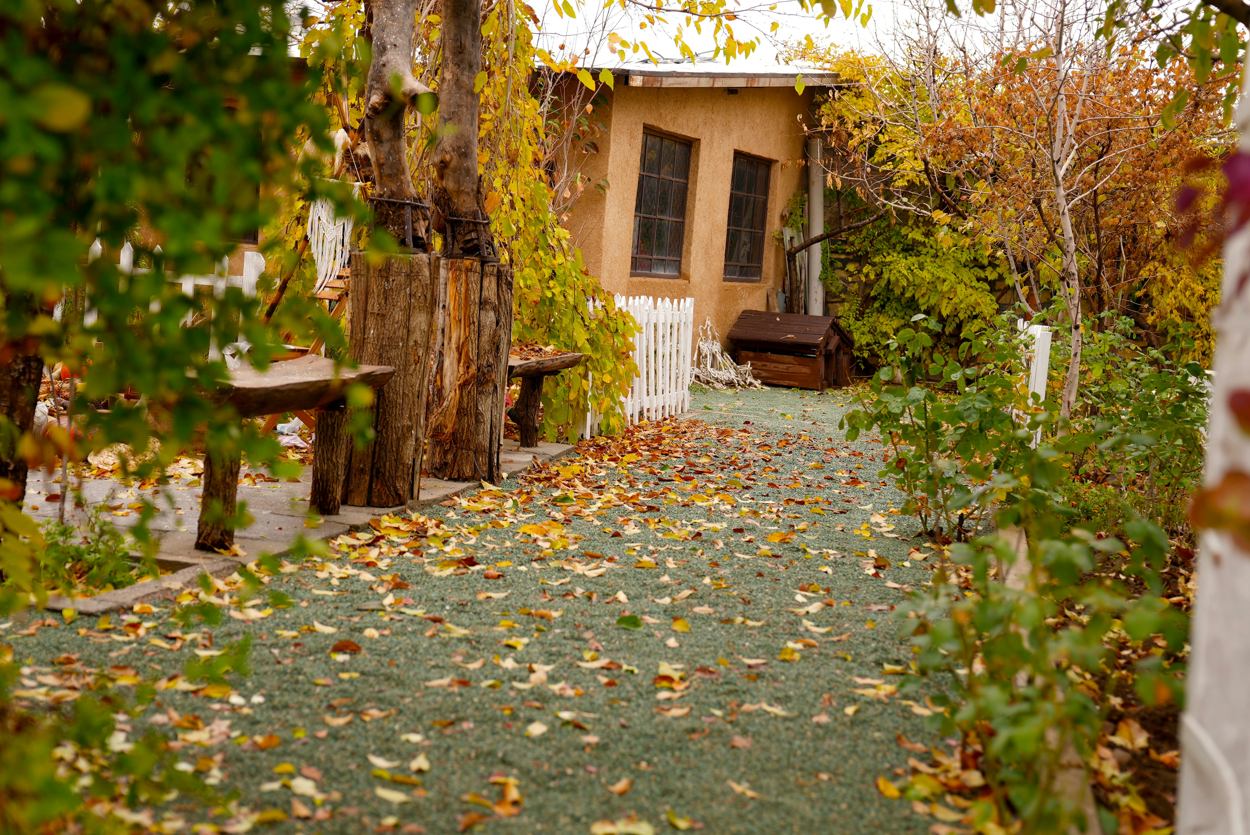 Photo by rafieeartist