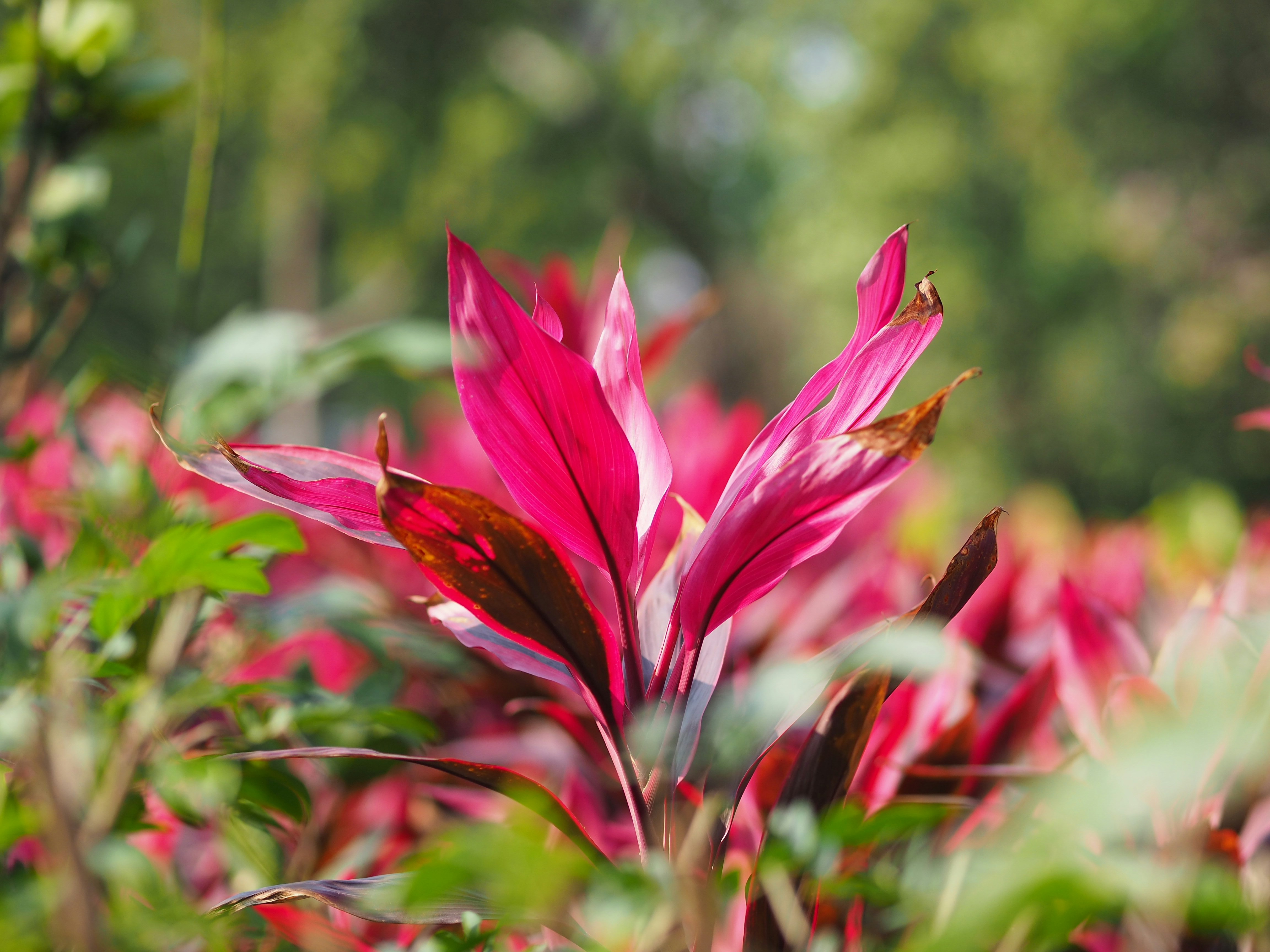 Photo by tillsunrise