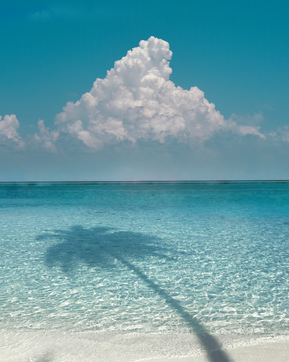 a shadow of a boat in the water