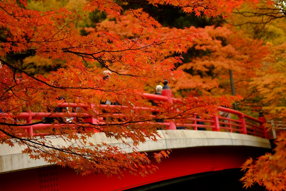 a red bridge over a river surrounded by trees