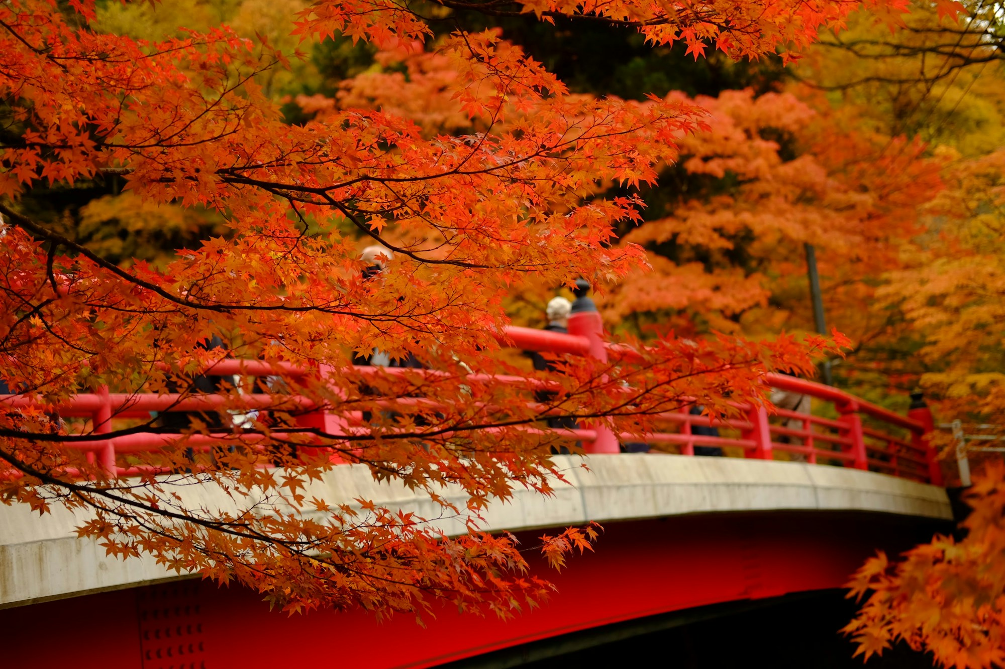 Exploring Aomori's Traditional Cuisine and Dining Scene