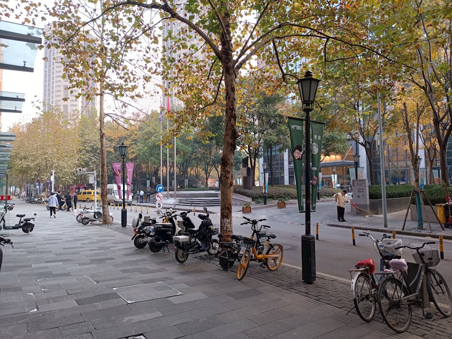 可持续交通：城市中的绿色出行方式