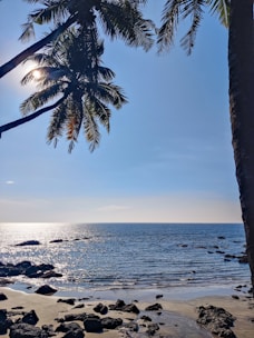A peaceful beachfront plot with morning sunlight and palm trees in Rio das Ostras.