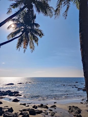 A serene beach view showcasing vacation properties by the ocean.