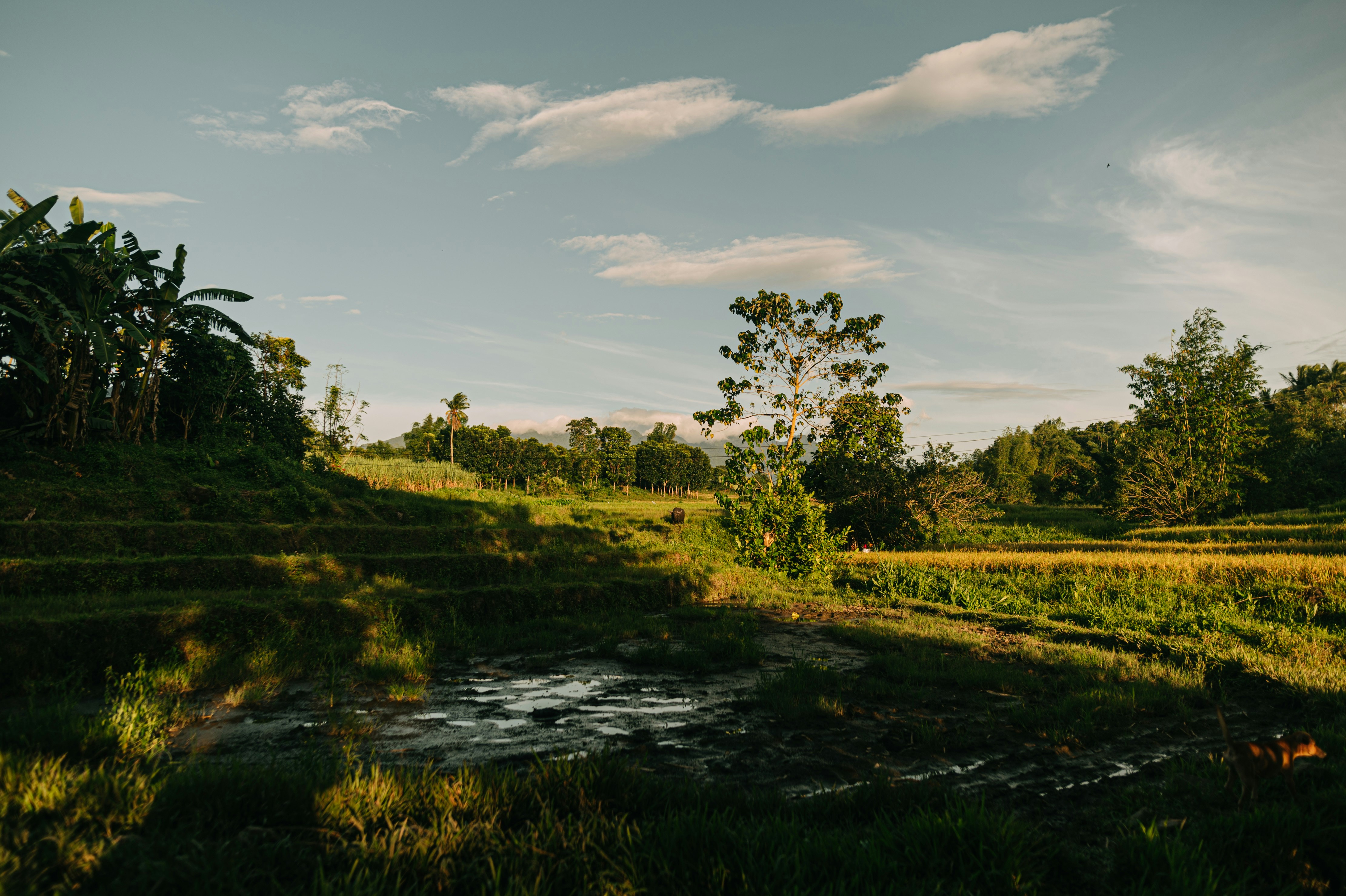 Photo by realxroland