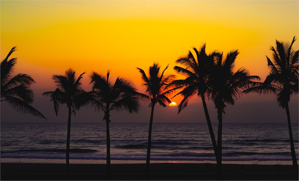 a sunset over the ocean with palm trees