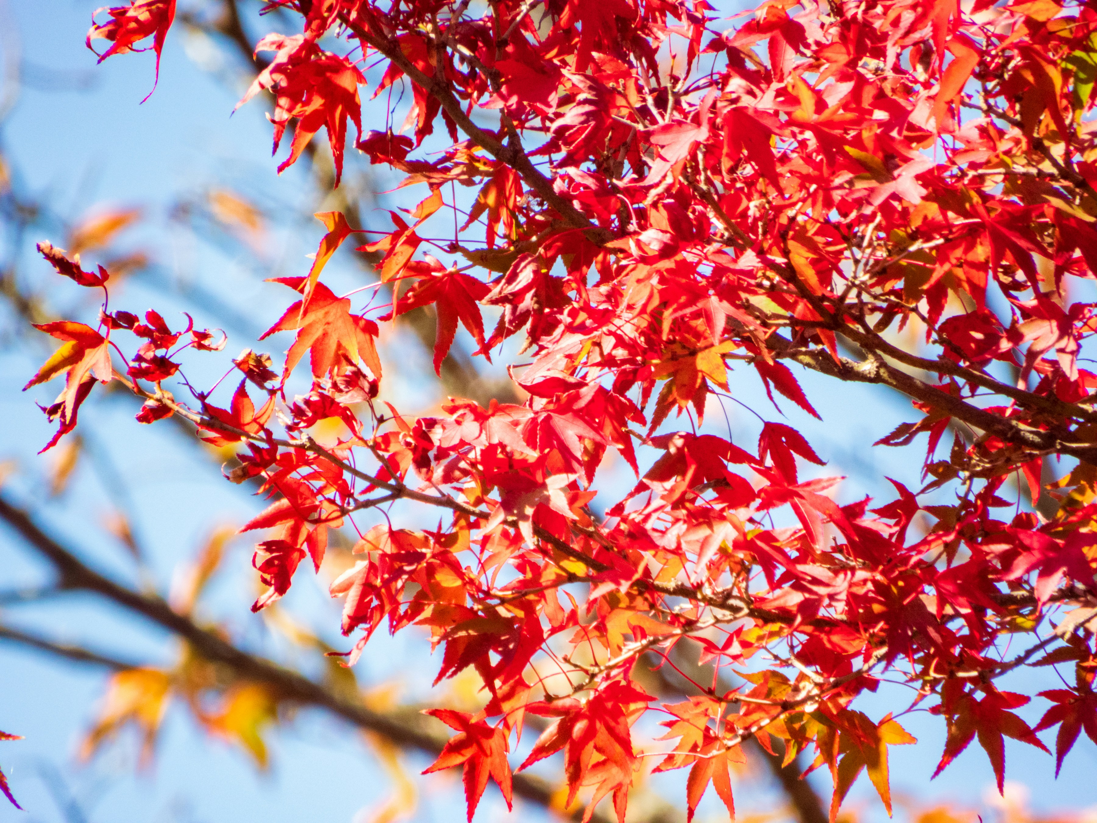 Photo by heppoko_yama