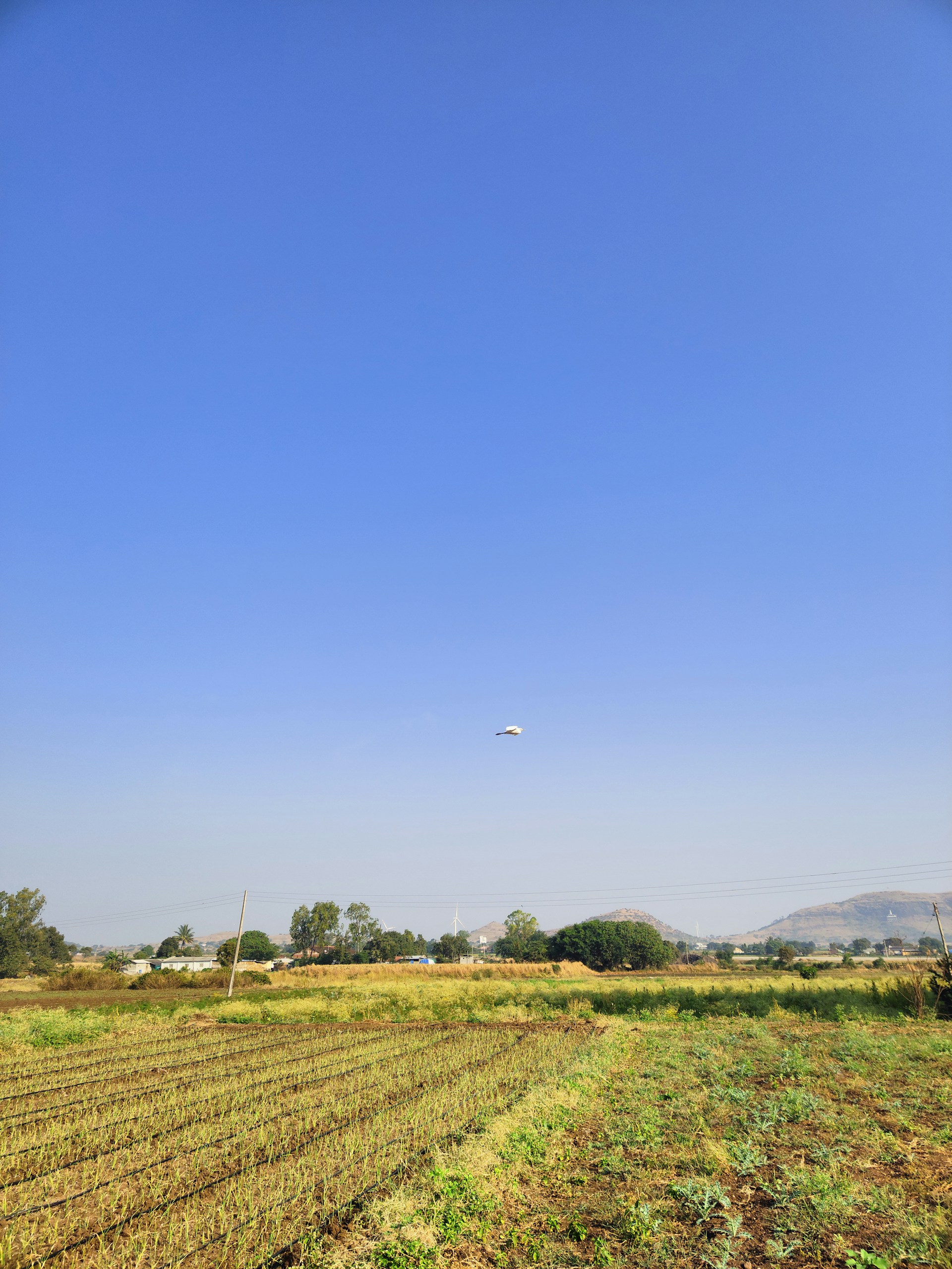 a large field with a kite flying in the sky