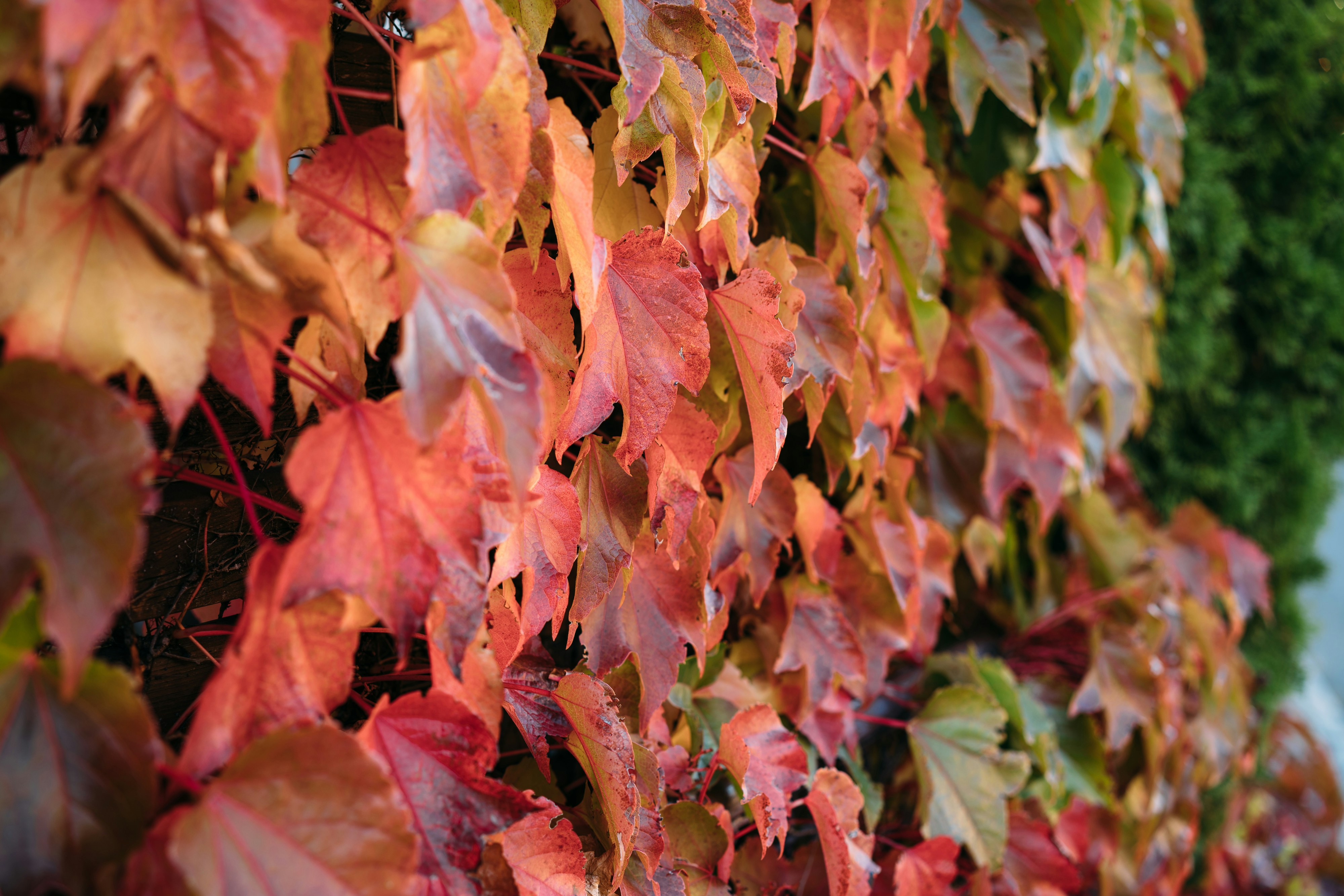 Photo by markuswinkler