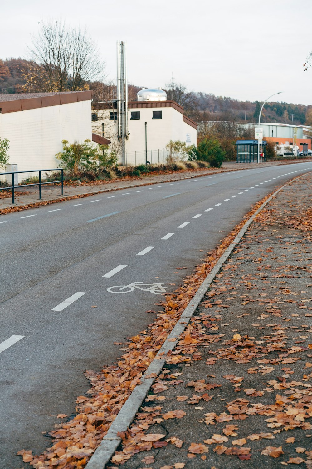 an empty street with leaves on the ground