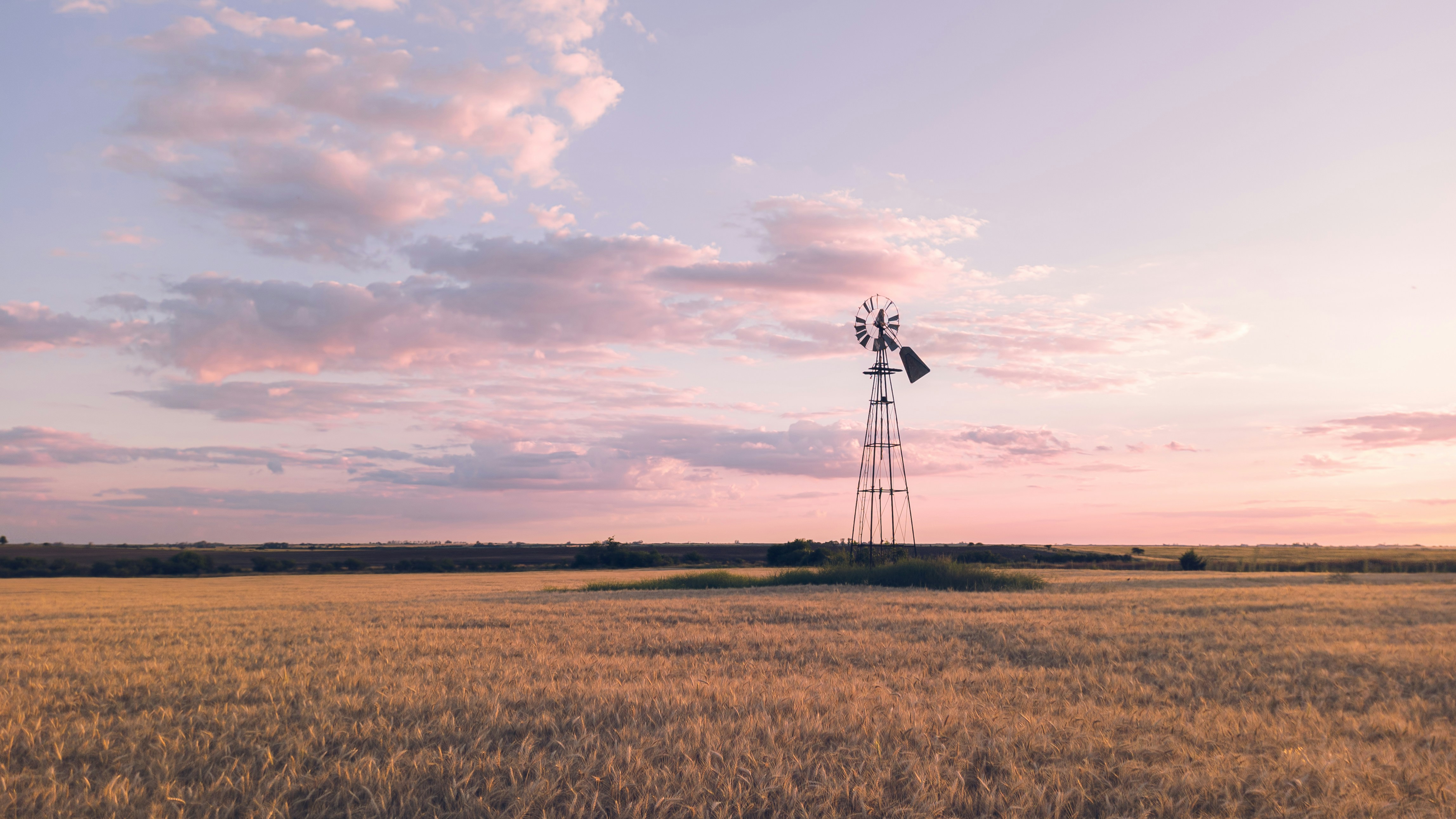 Photo by dariobonzi39