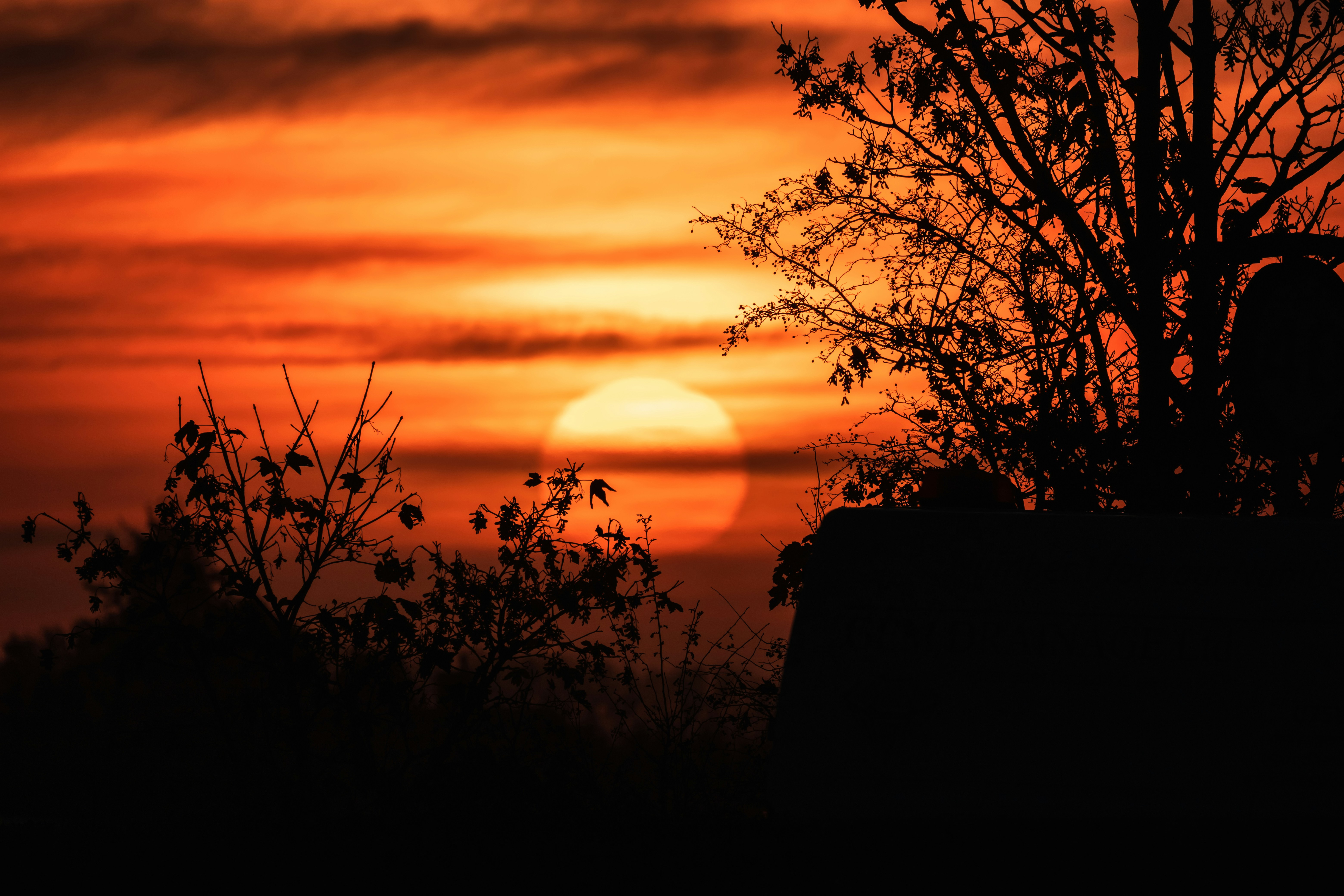 Photo by grievek1610begur