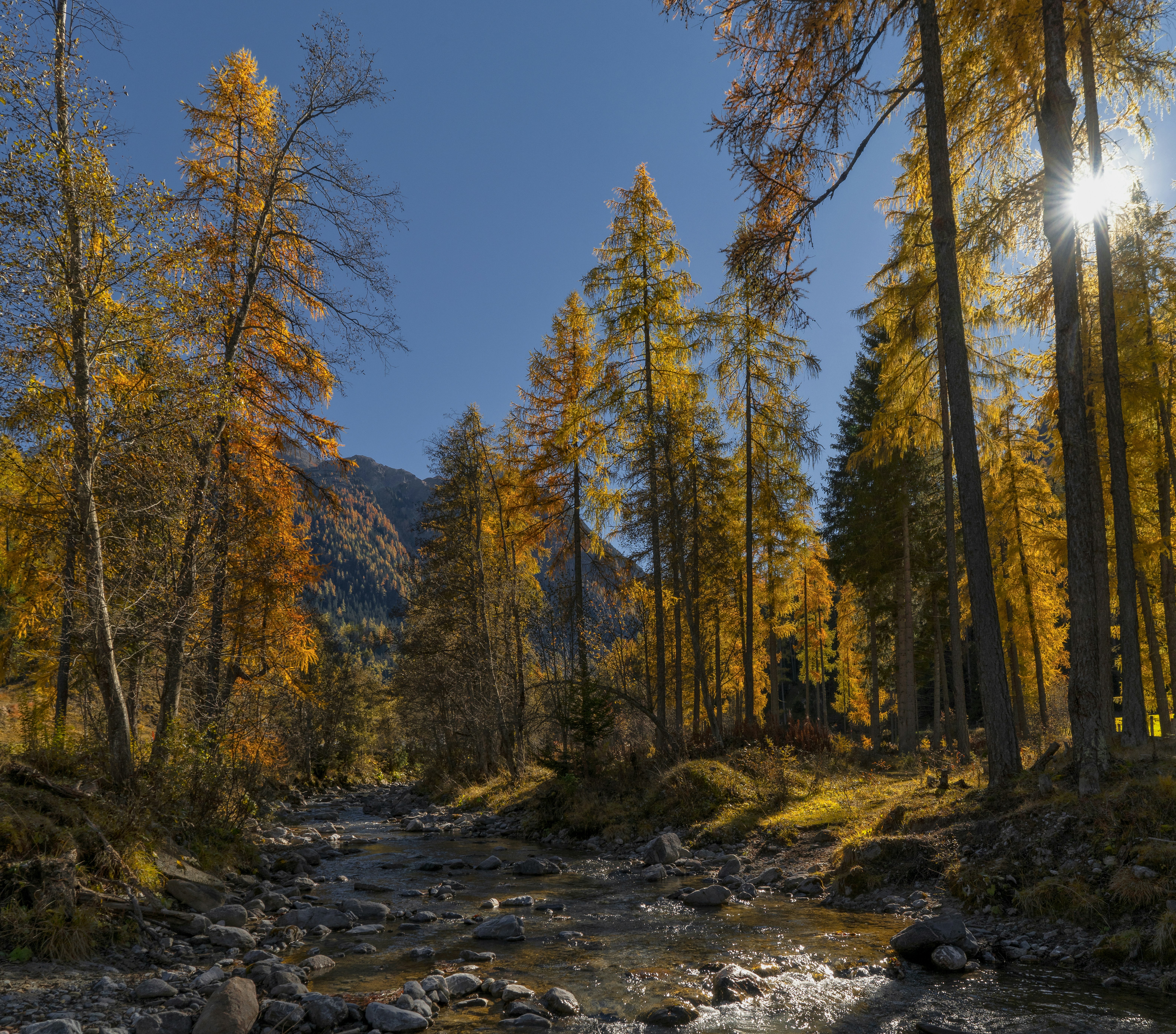 The Art of Noticing: How Aesthetic Attention Changes Everything