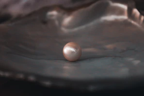 Natural pearls resting on a bed of oyster shells, highlighting their origin