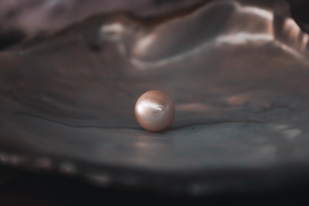 Natural mother-of-pearl shells shining softly under warm sunlight.