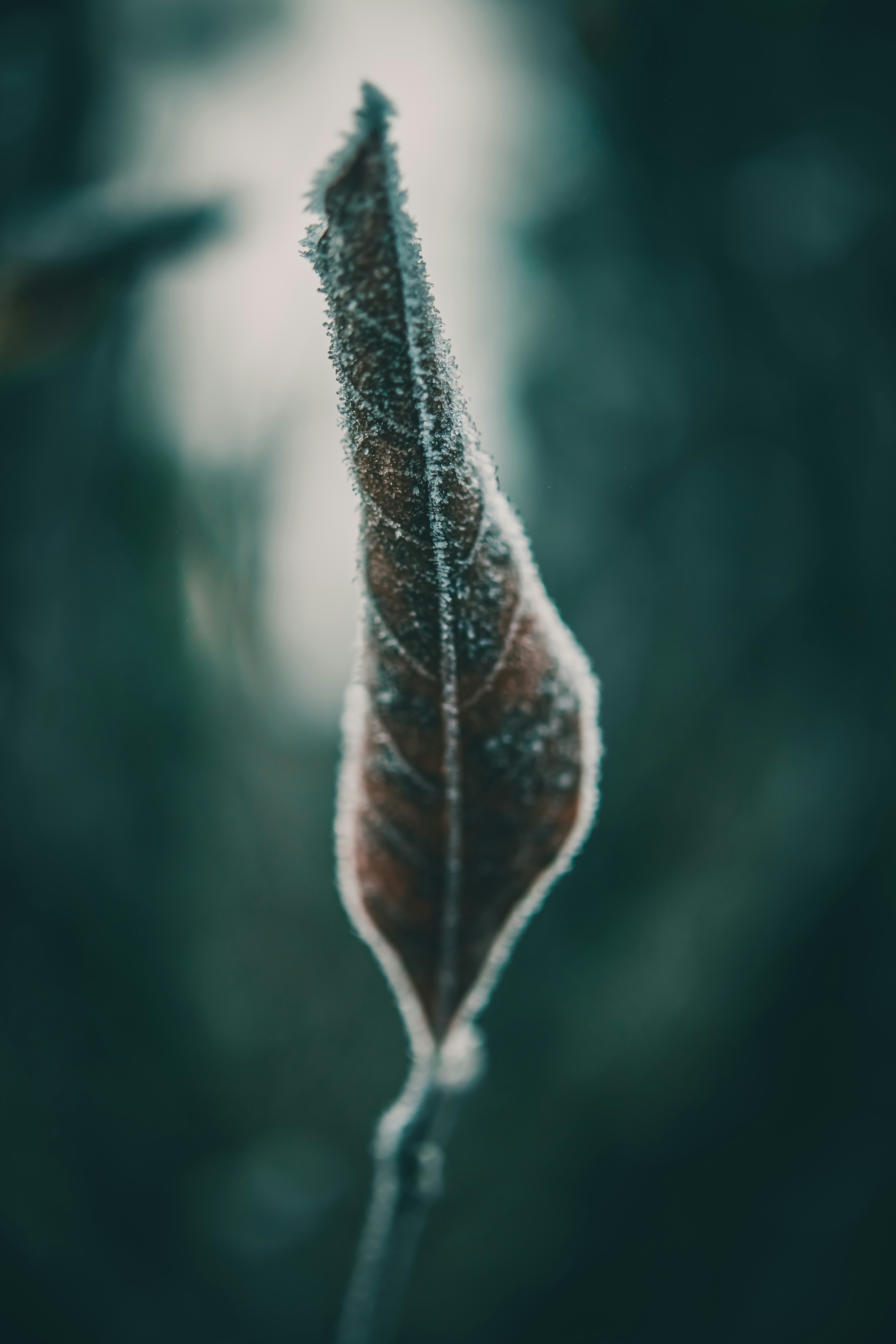 Photo by raimondklavins