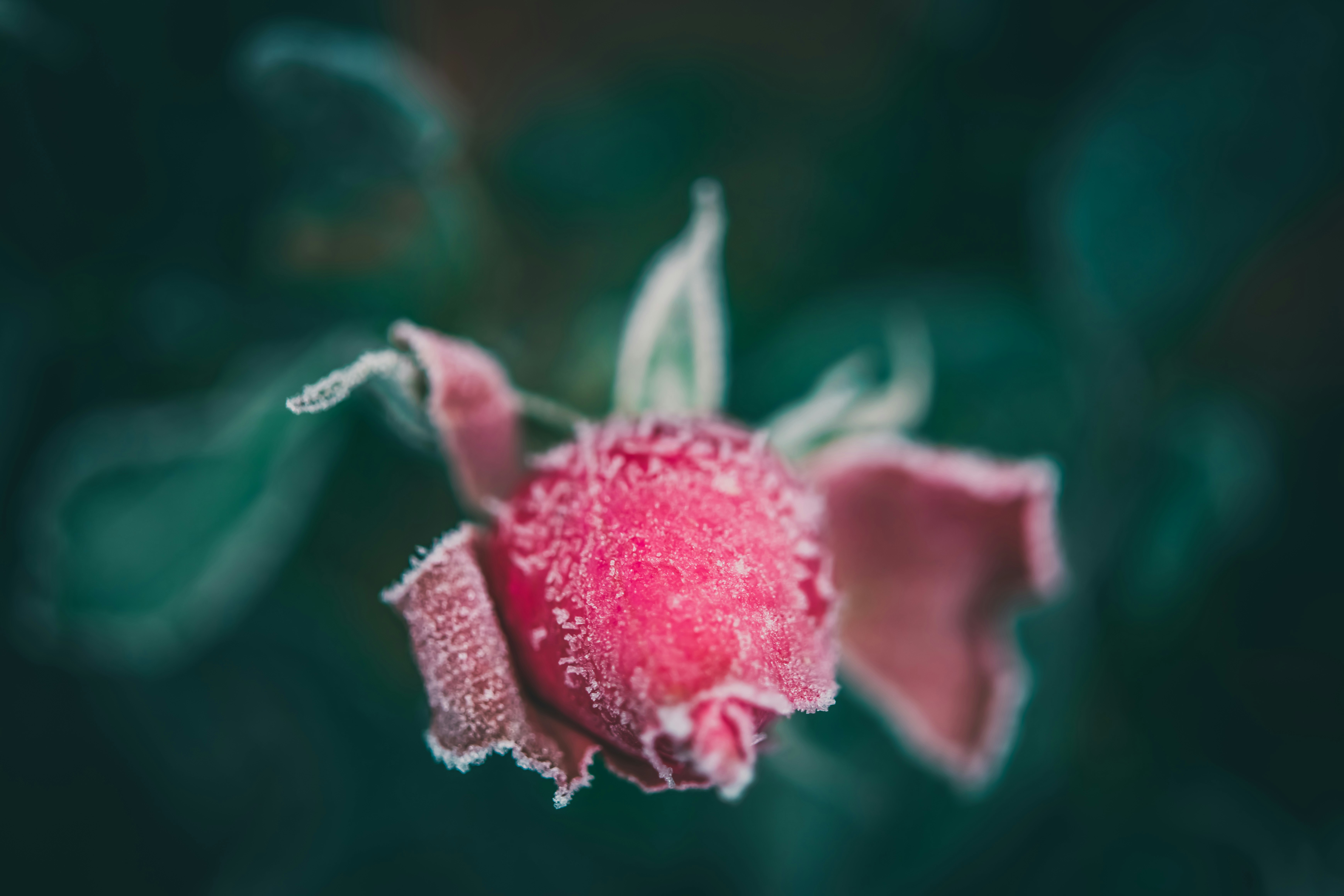 Photo by raimondklavins