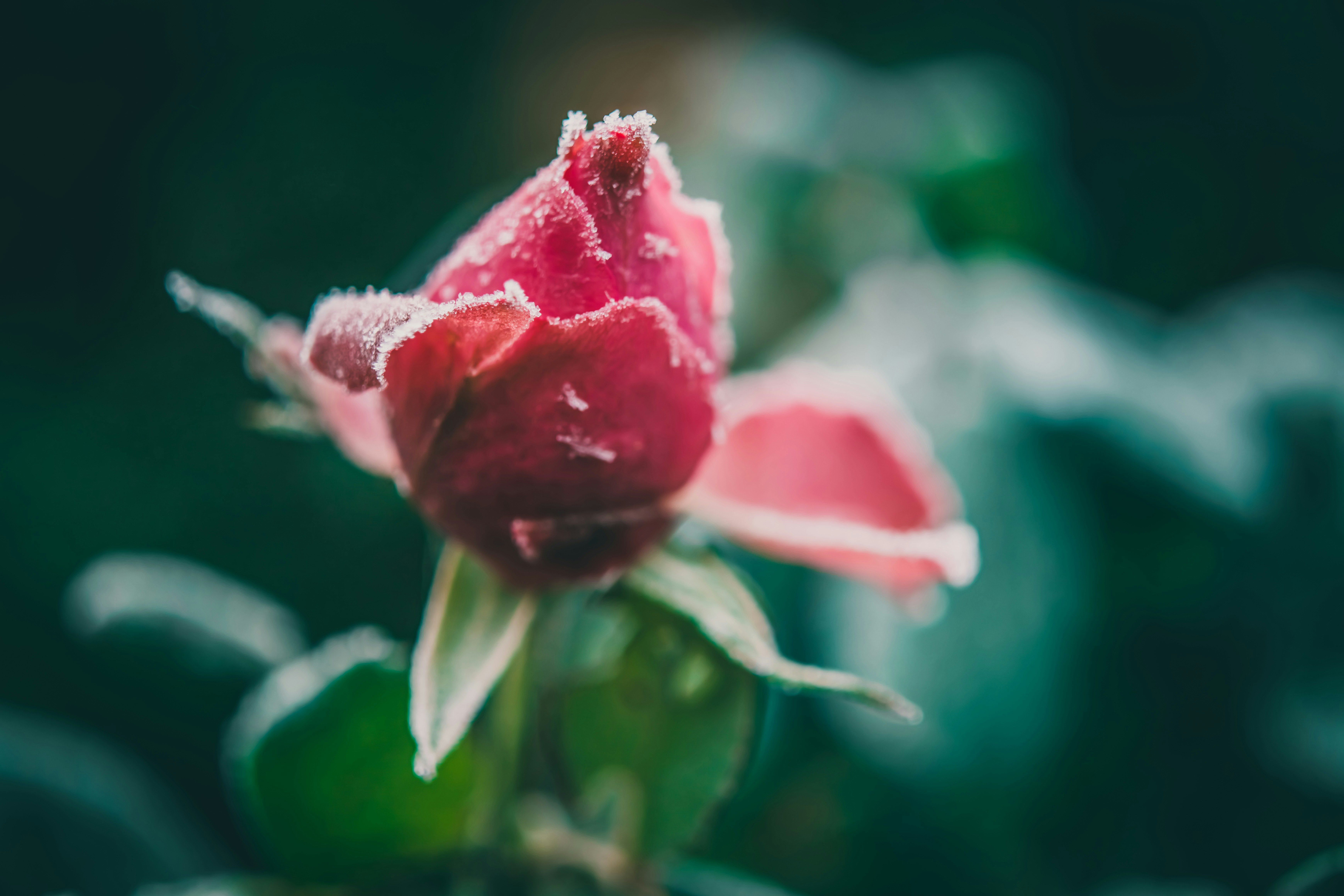 Photo by raimondklavins