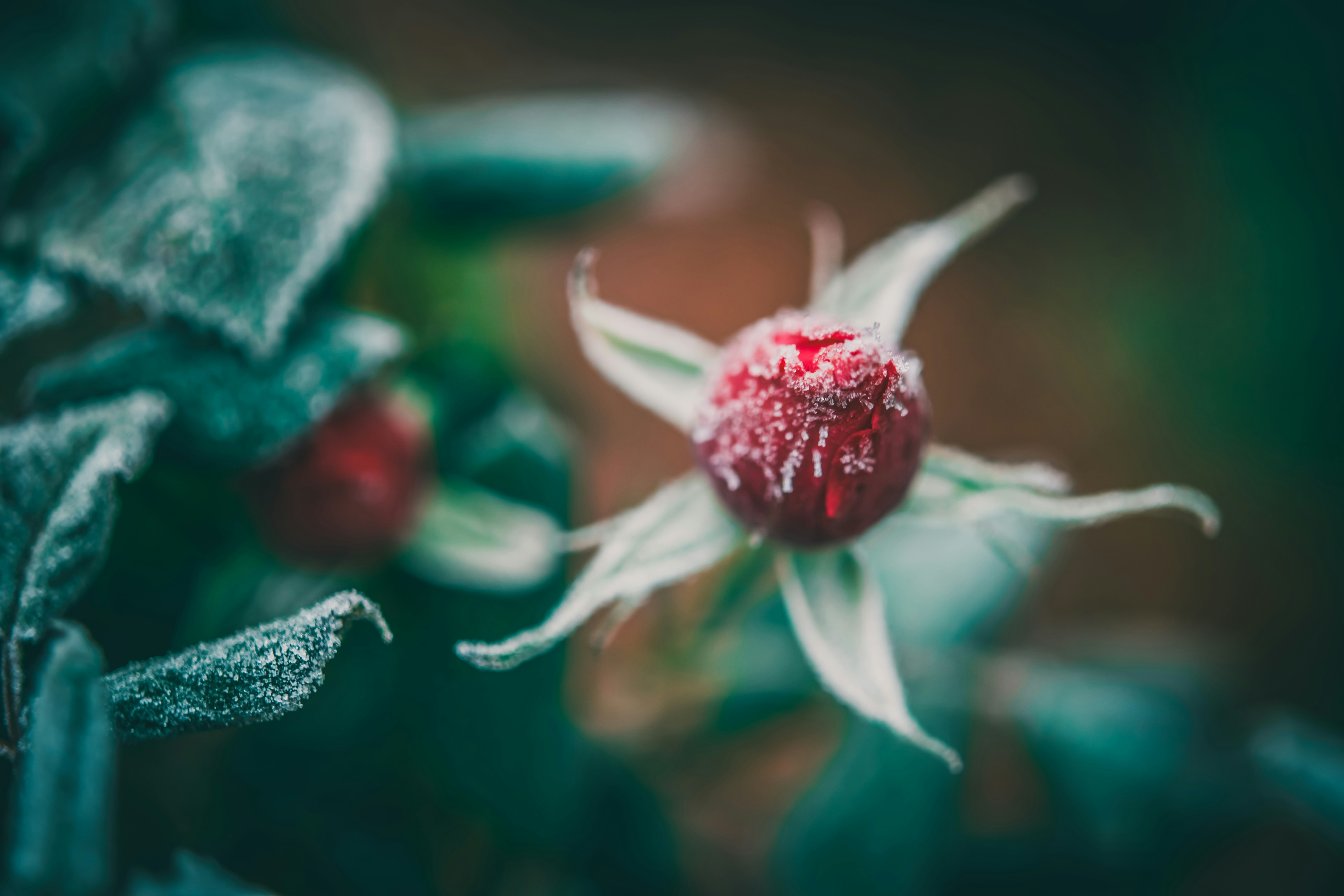 Photo by raimondklavins