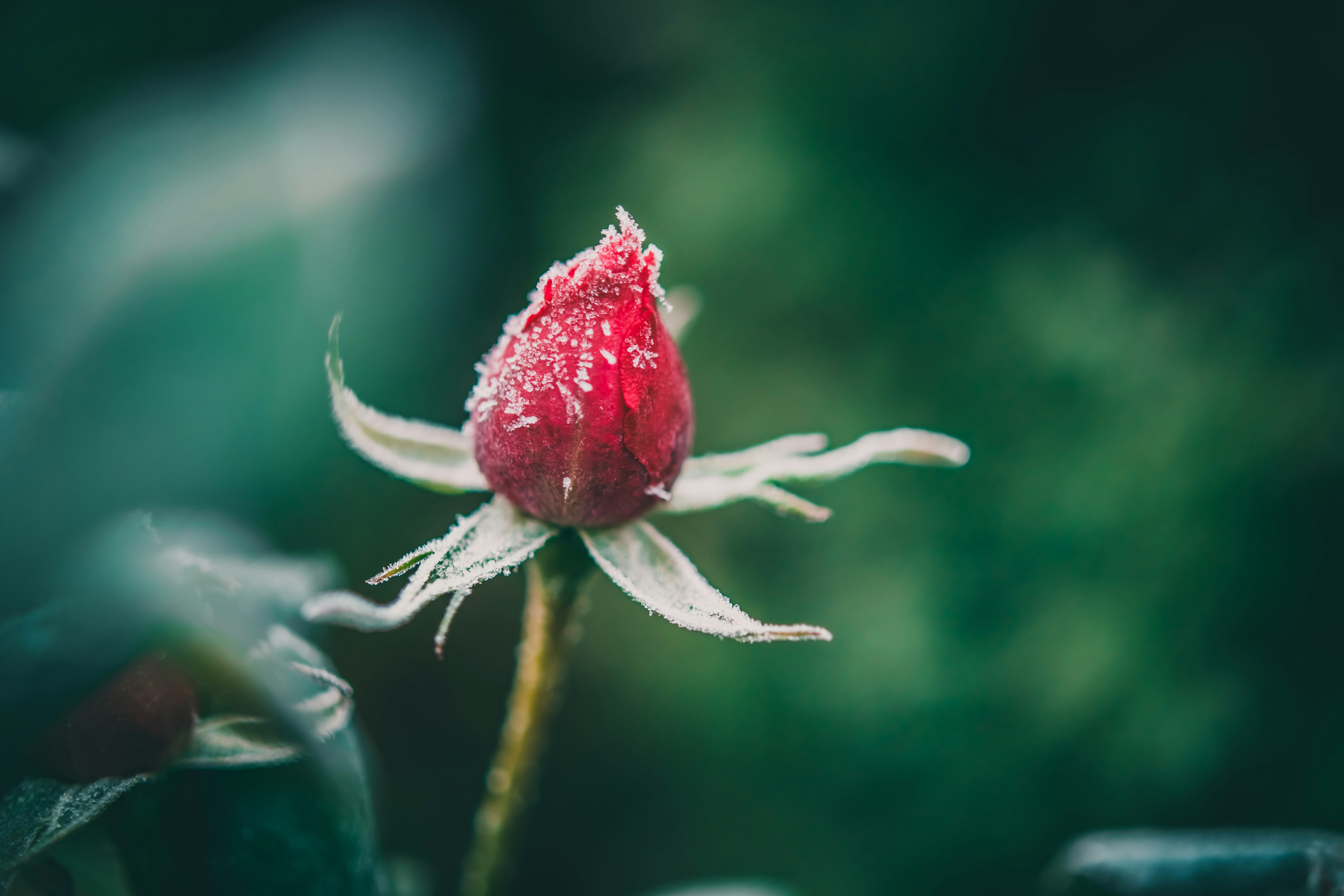 Photo by raimondklavins