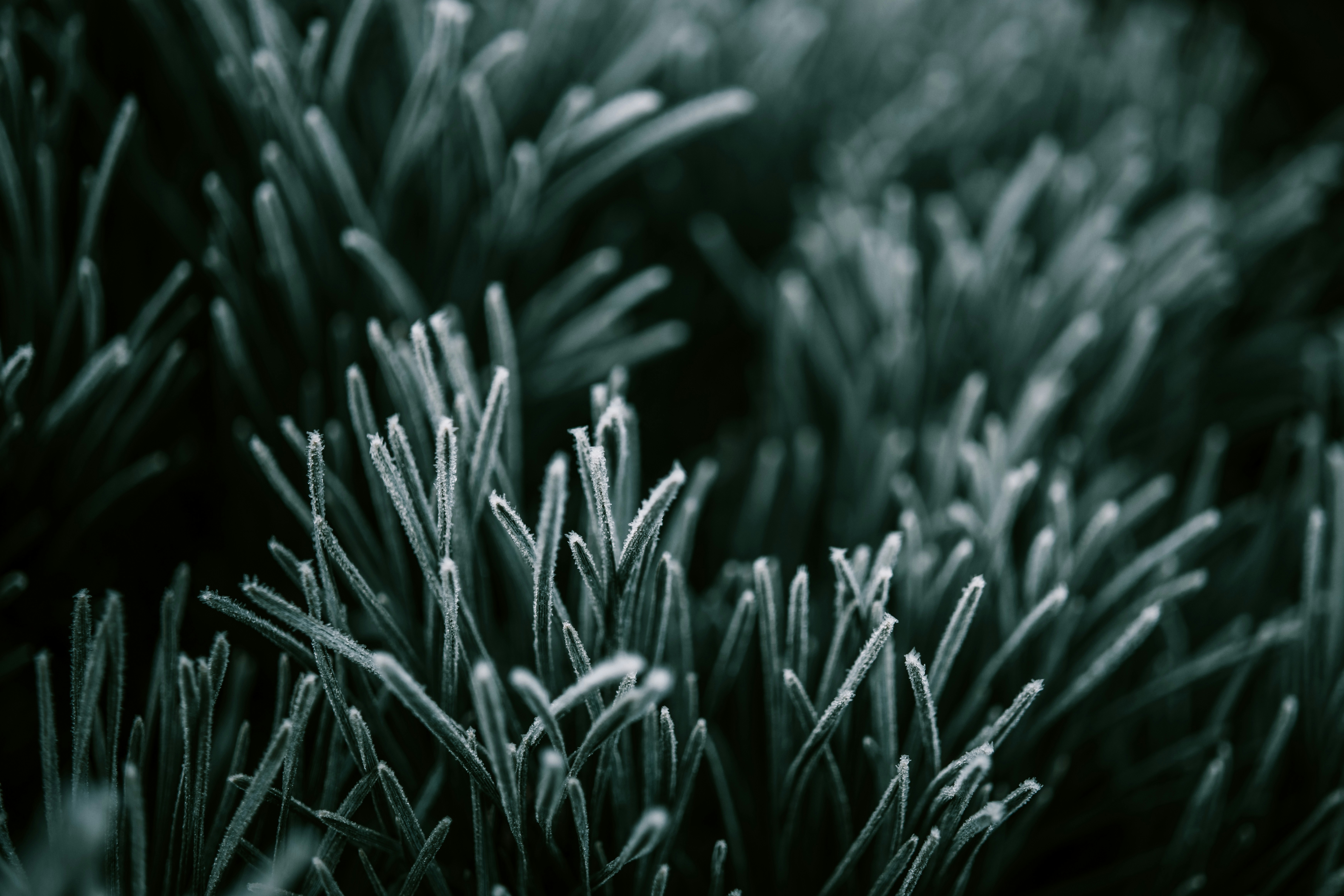 Photo by raimondklavins