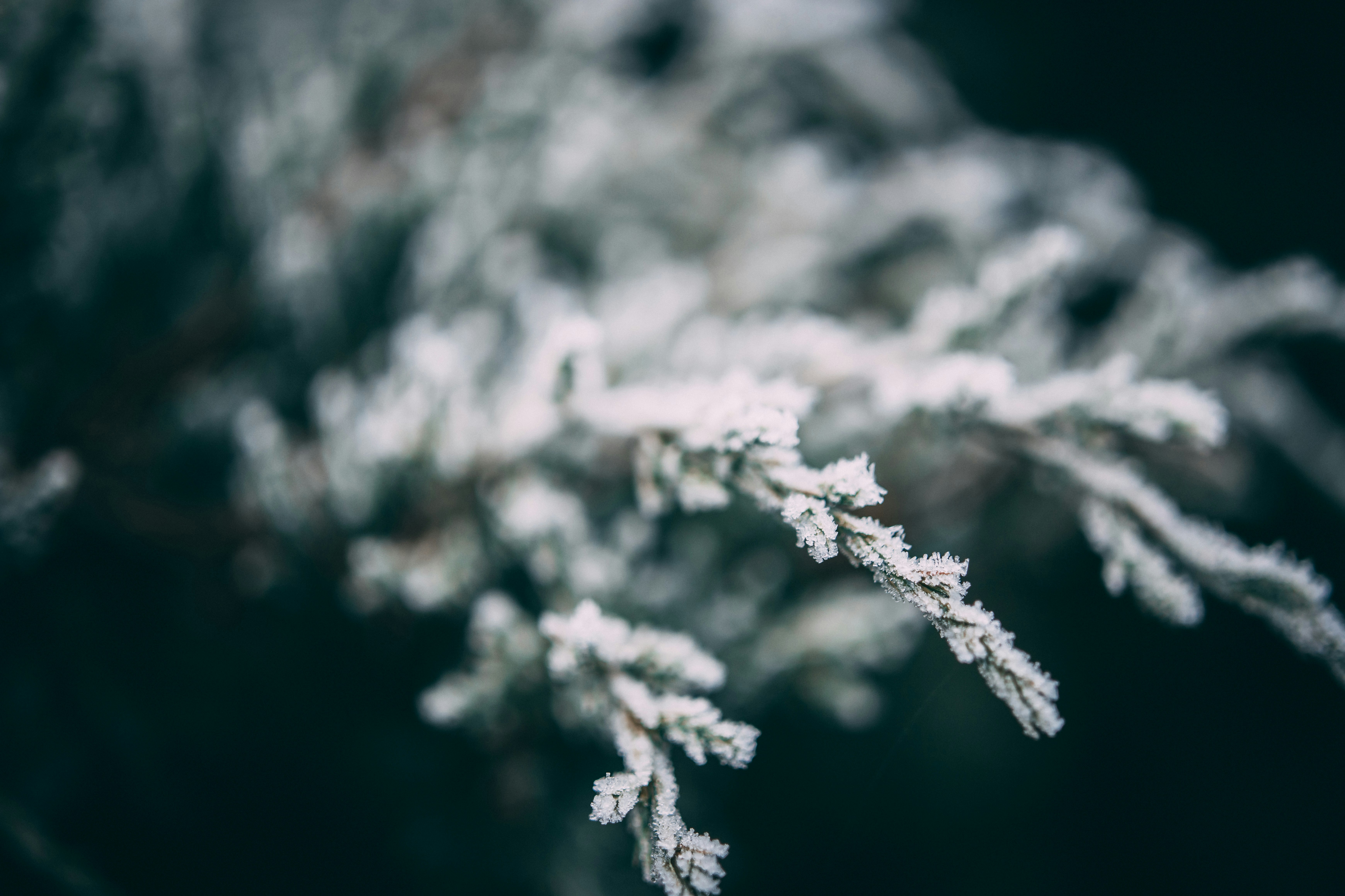 Photo by raimondklavins