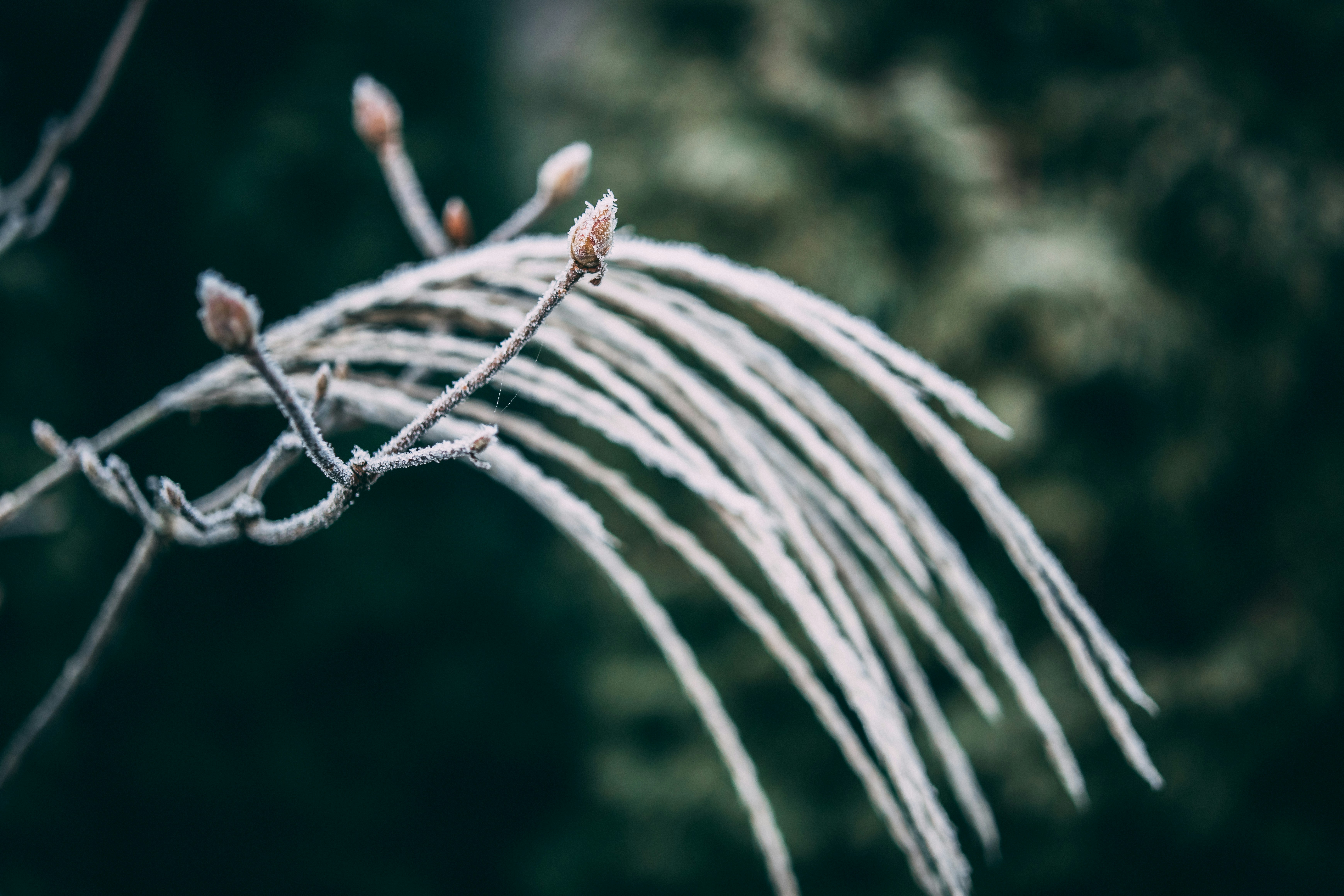 Photo by raimondklavins