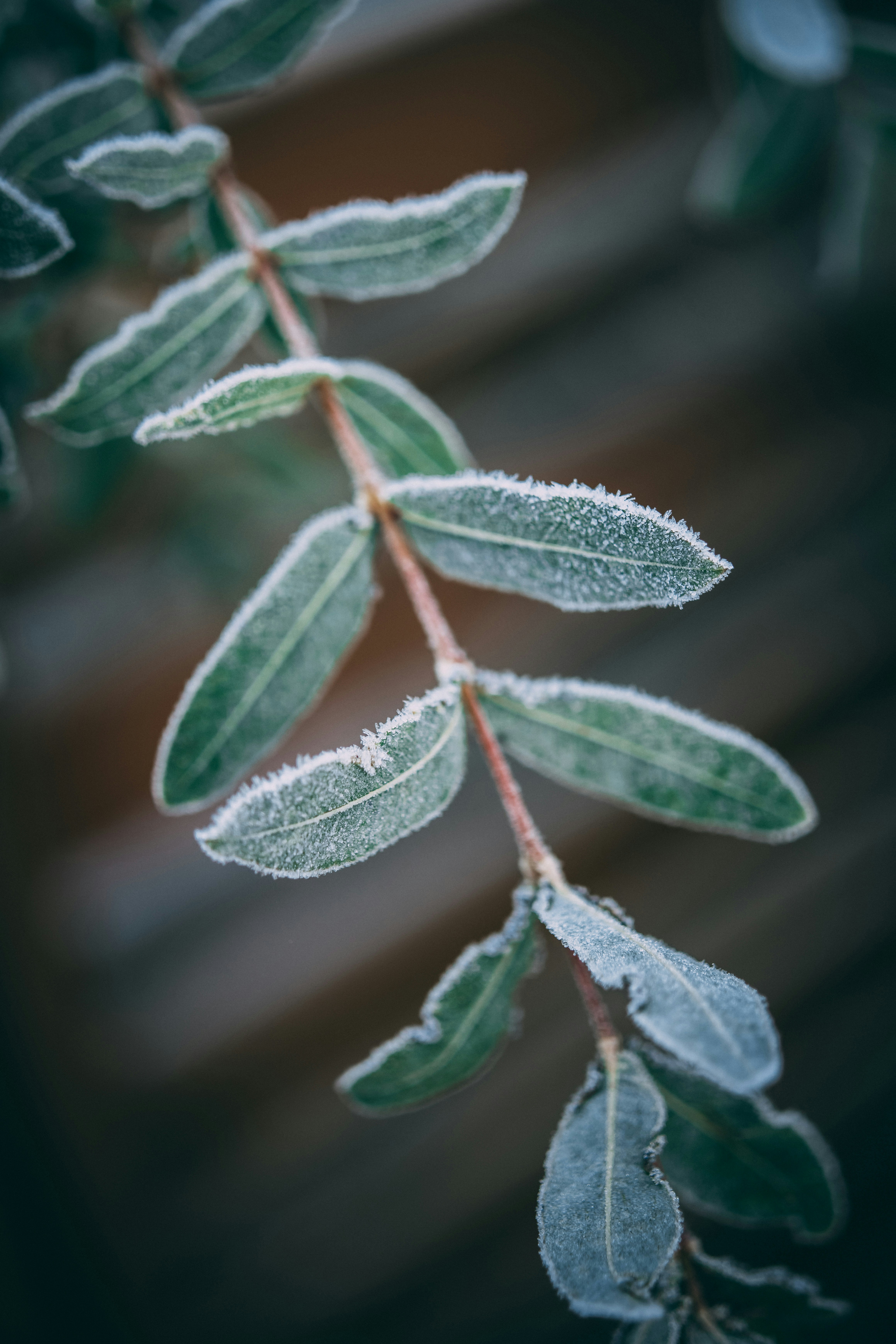 Photo by raimondklavins