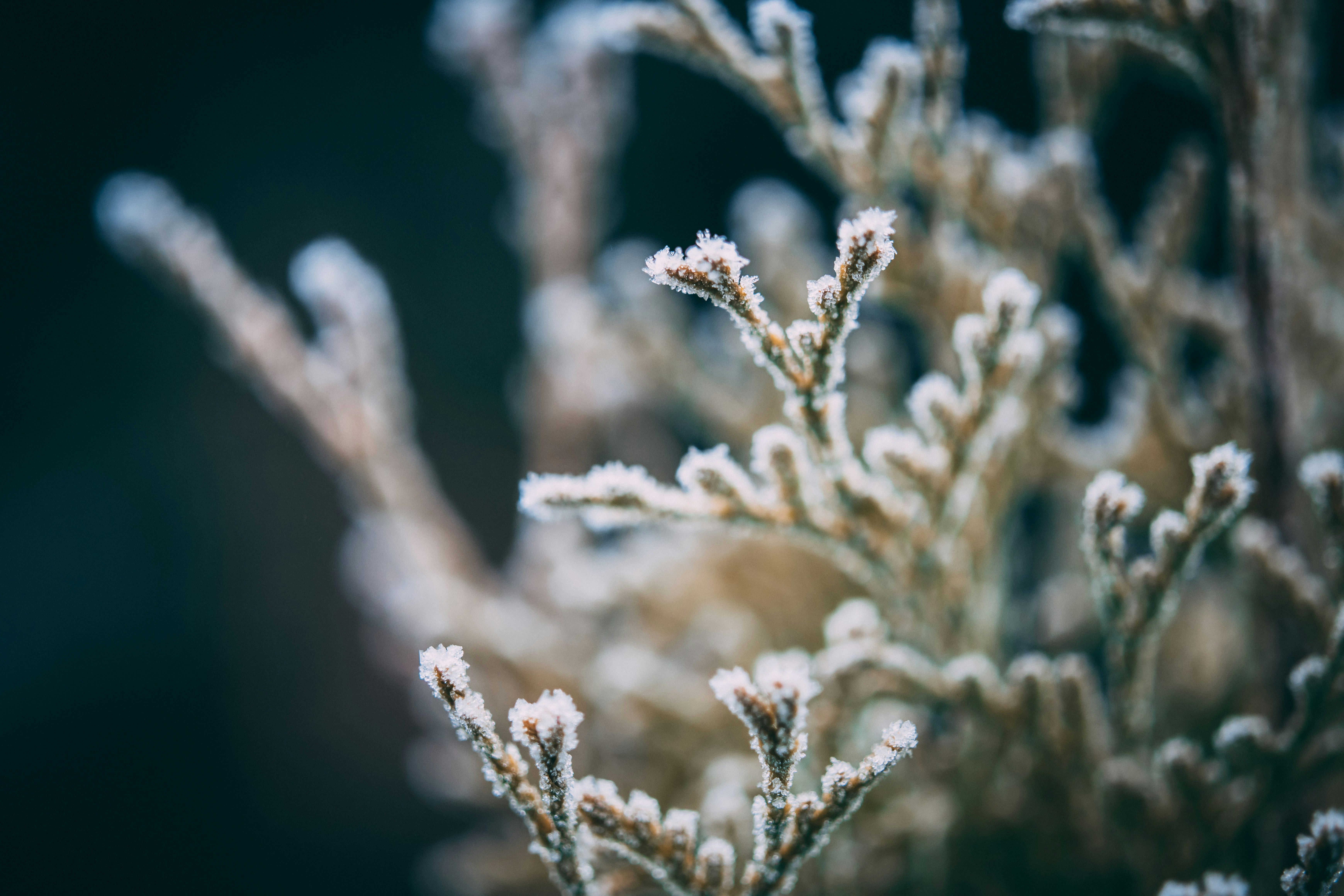 Photo by raimondklavins