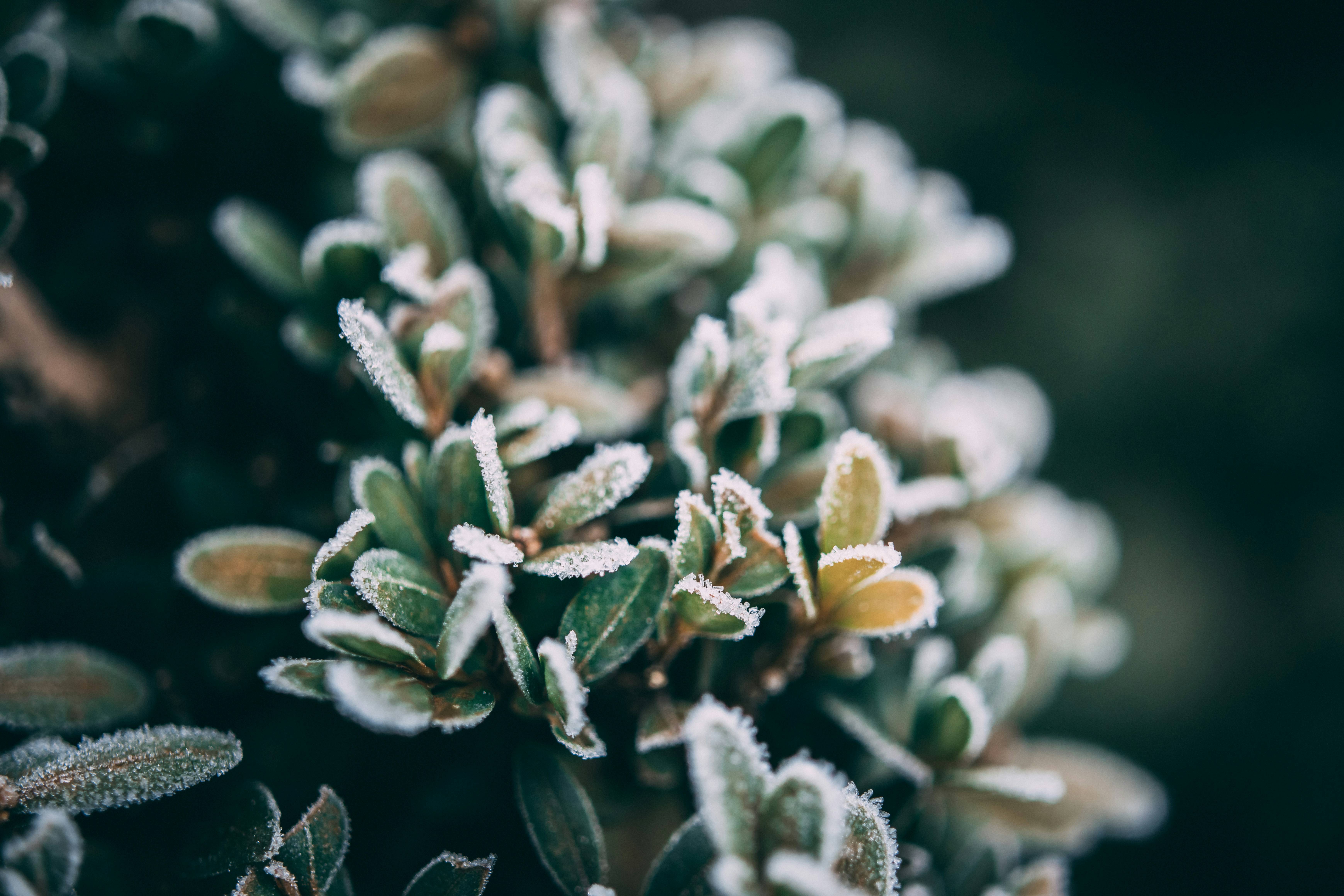 Photo by raimondklavins