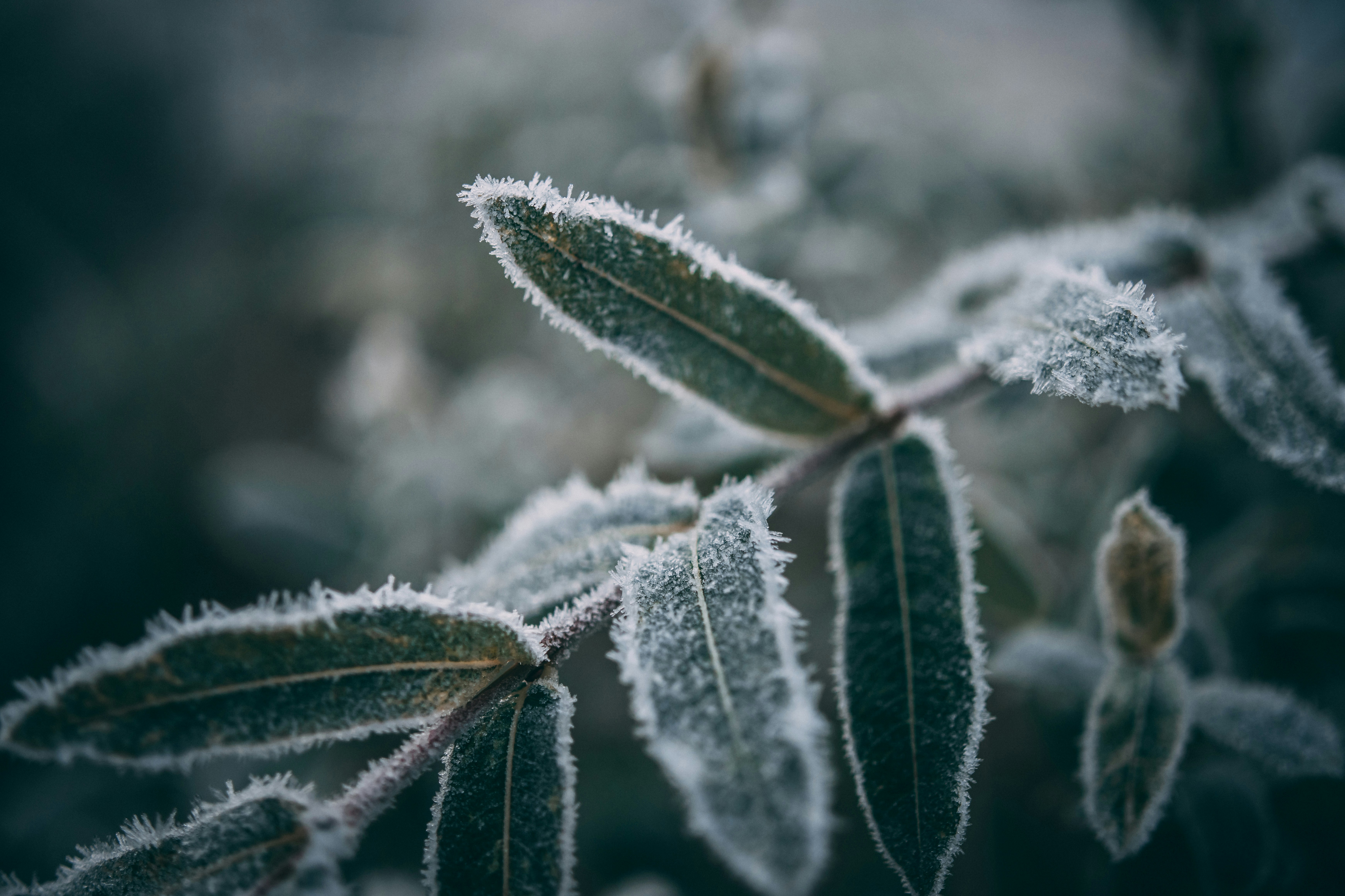 Photo by raimondklavins