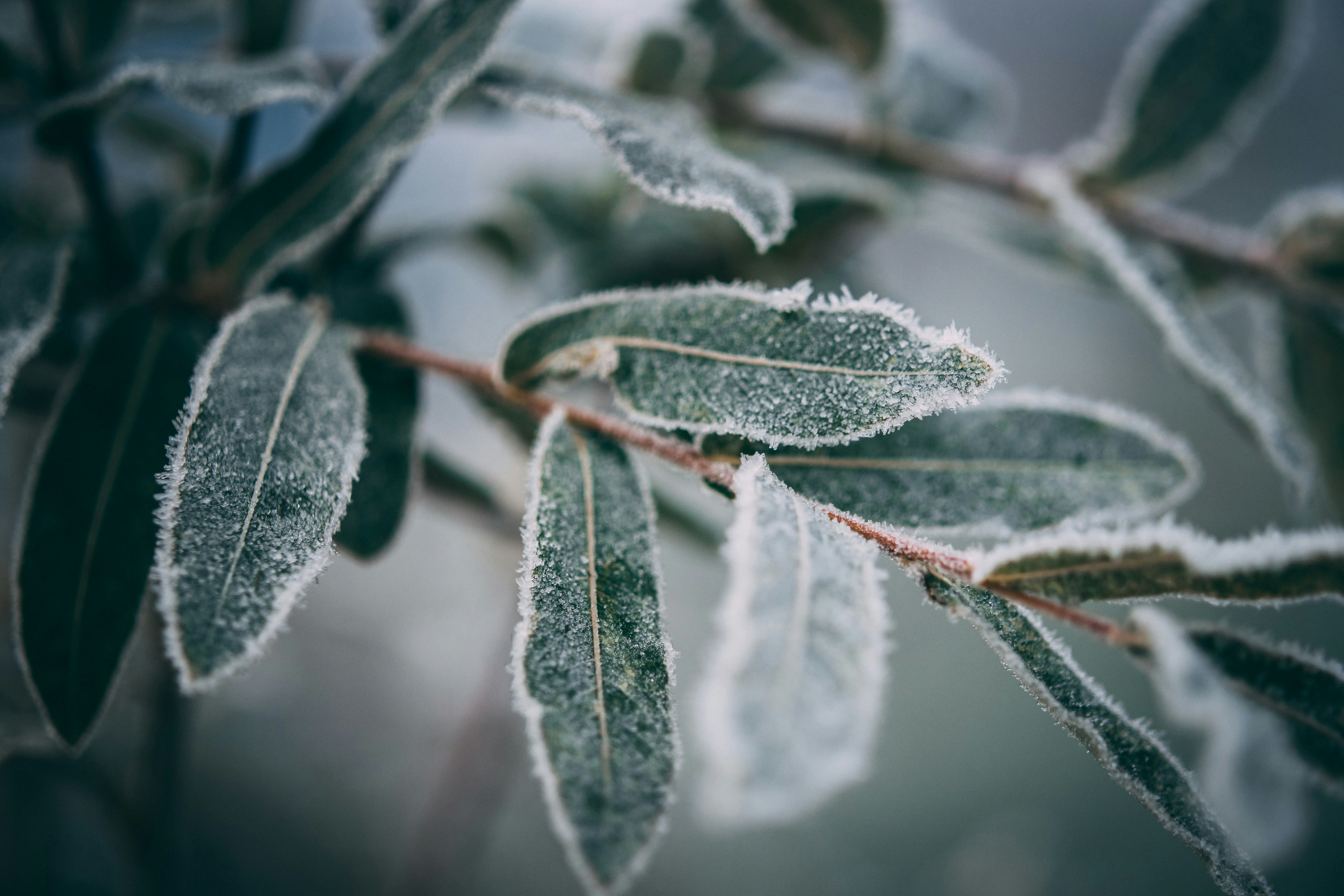 Photo by raimondklavins