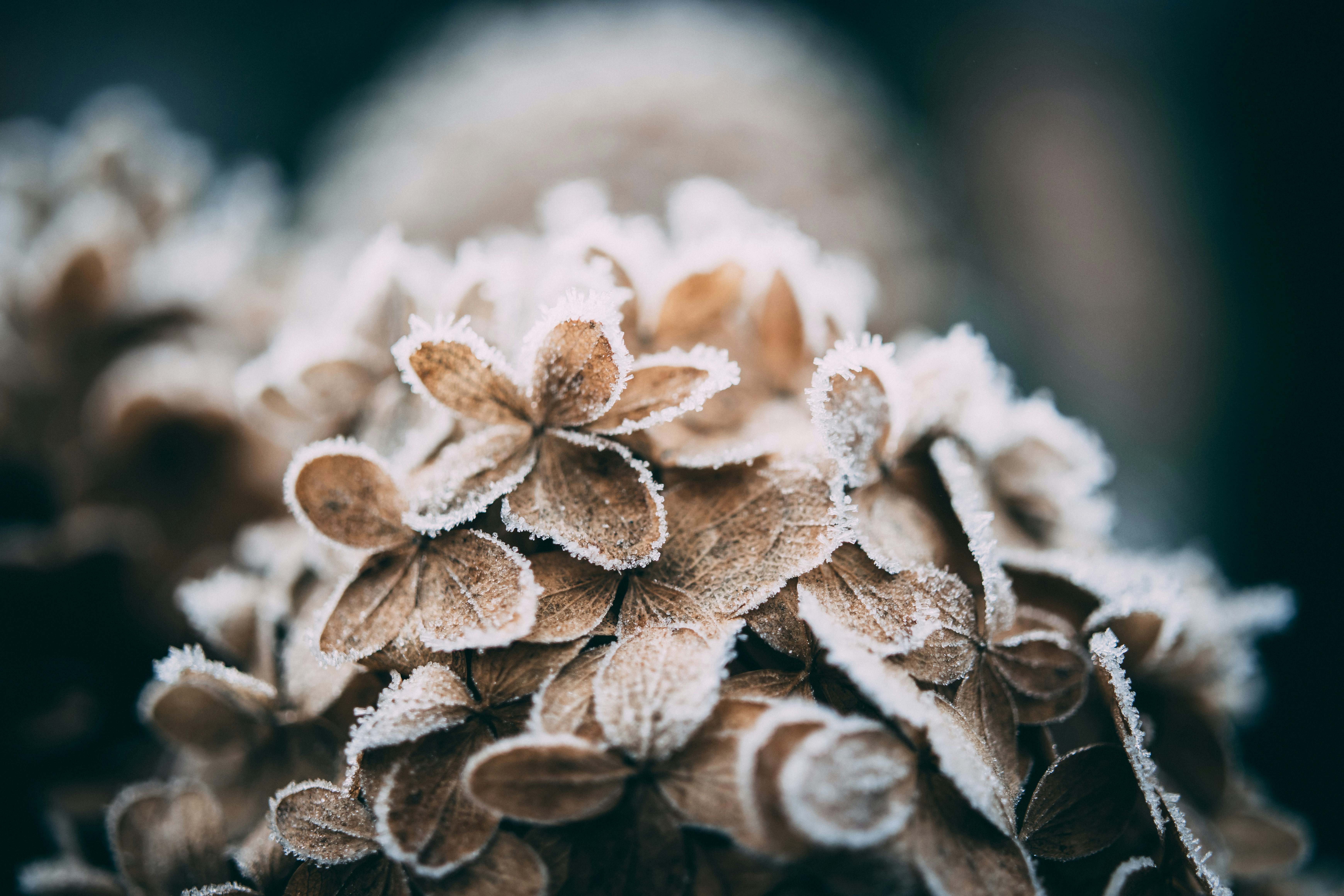 Photo by raimondklavins