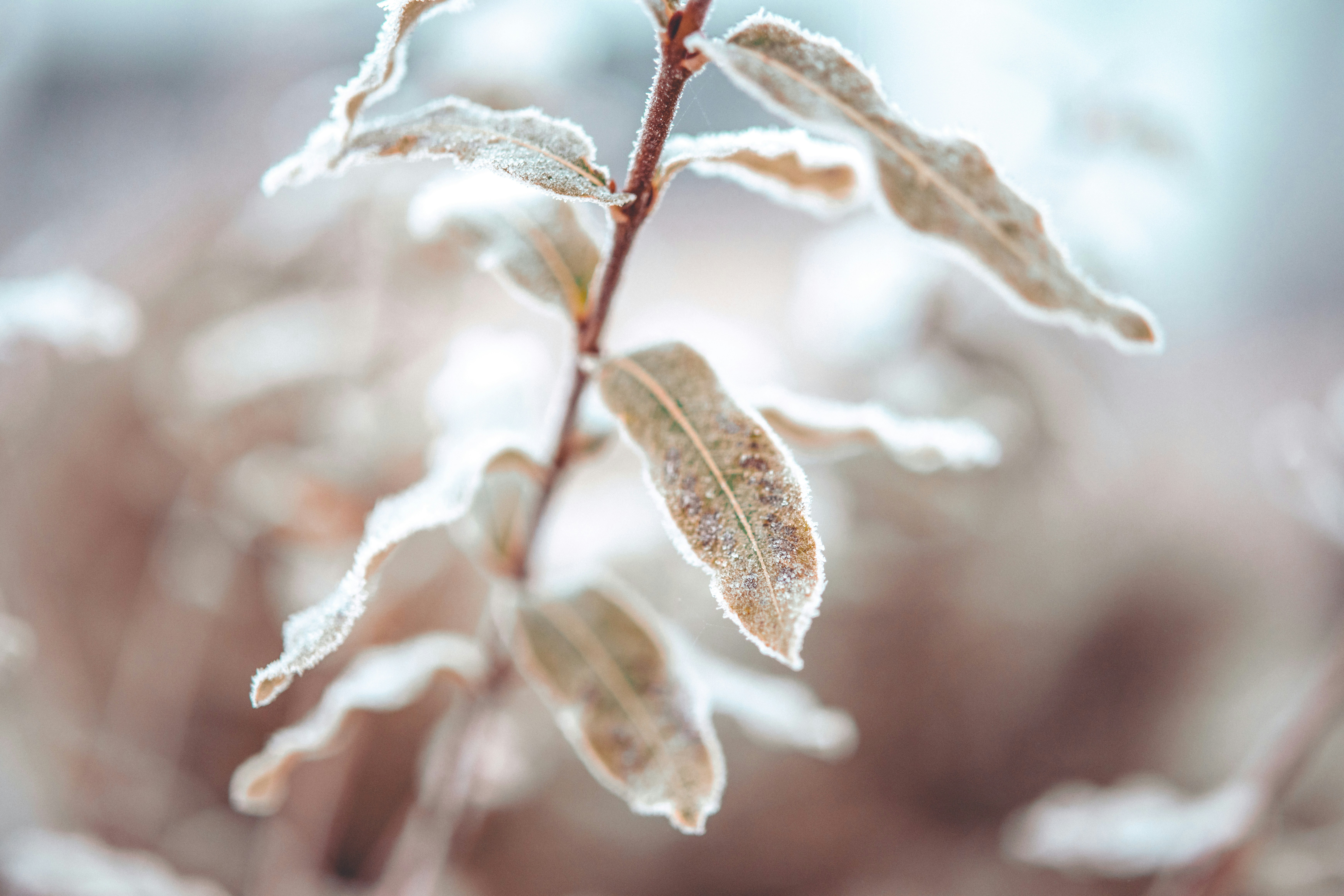 Photo by raimondklavins