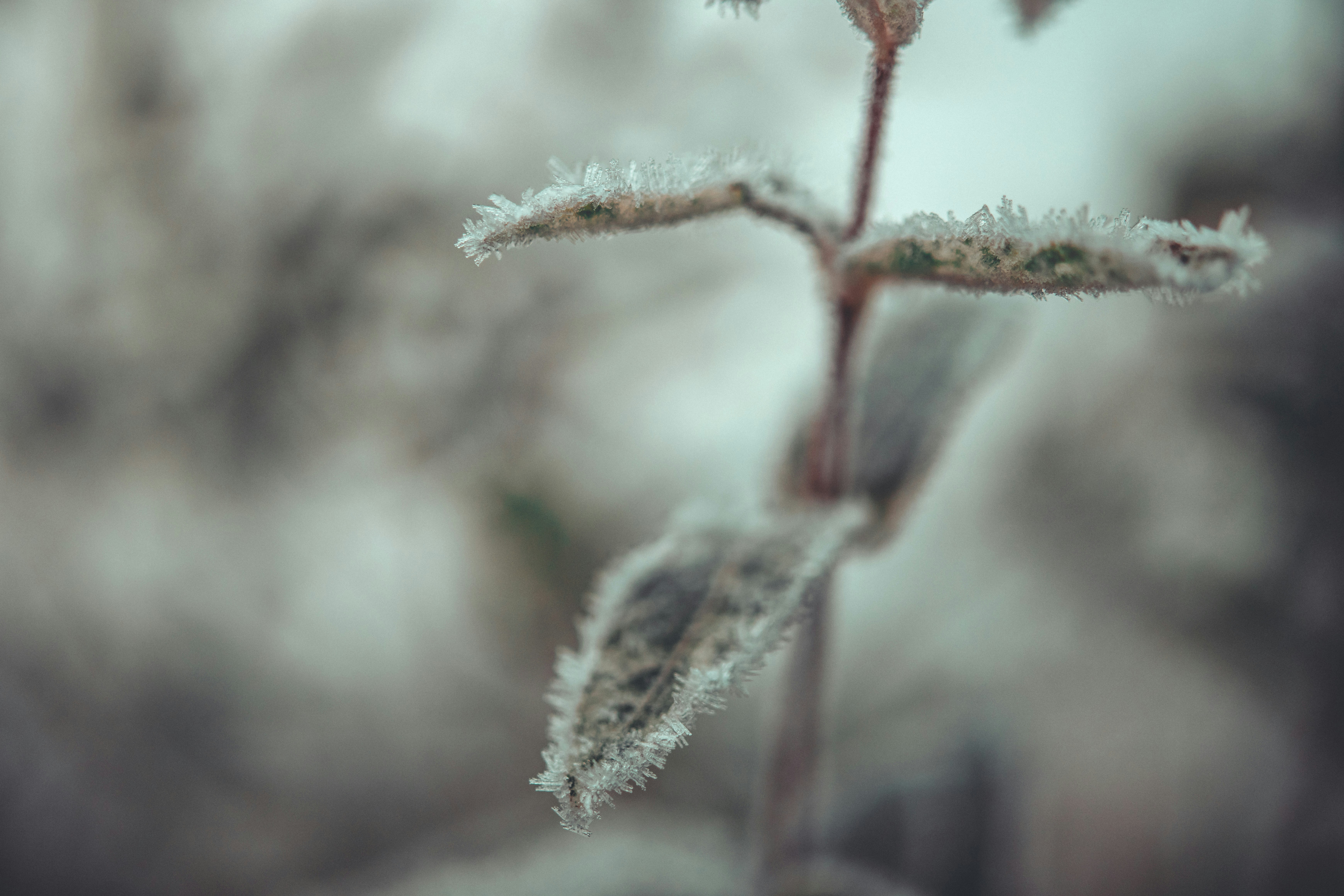 Photo by raimondklavins