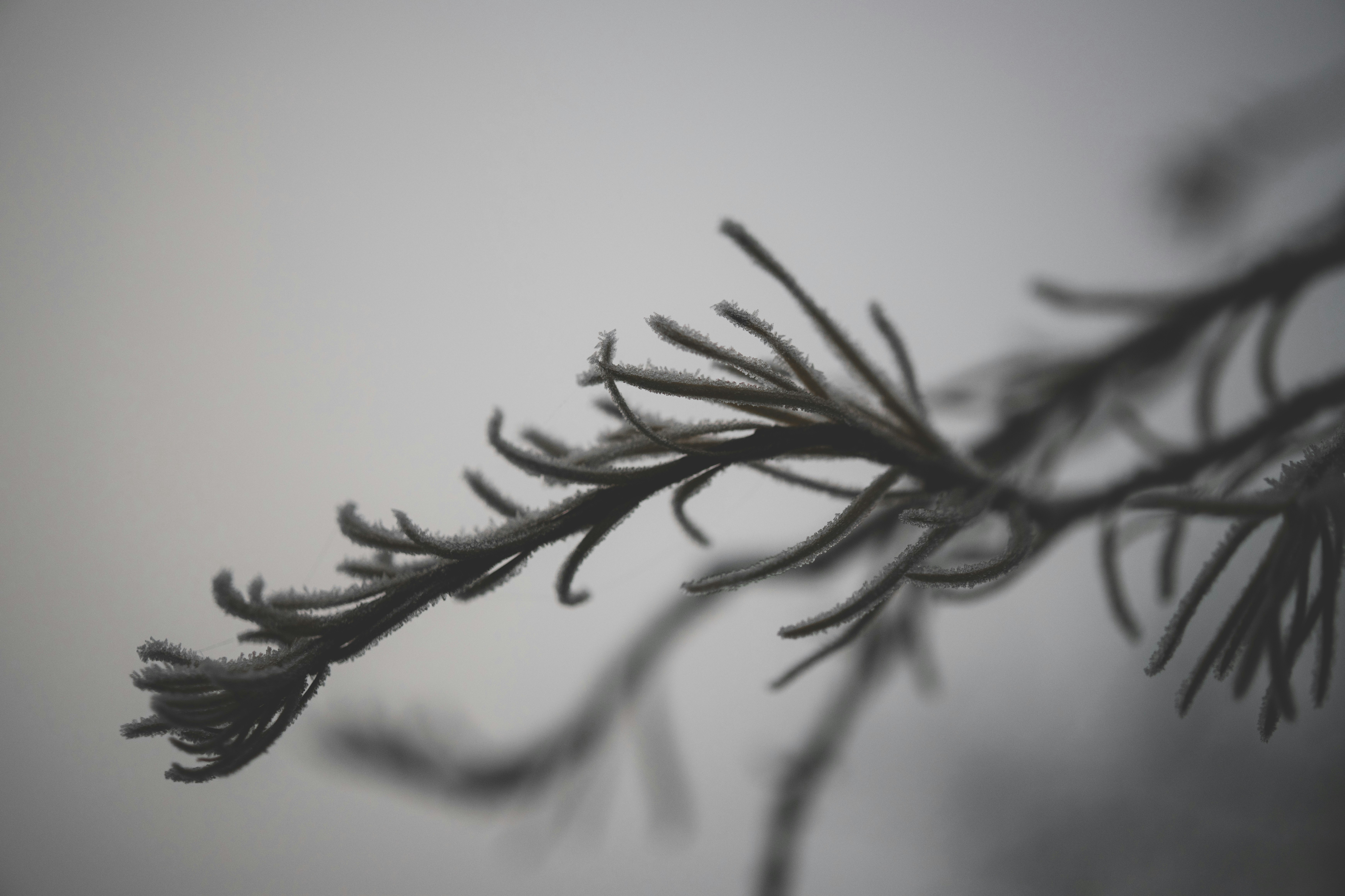 Photo by raimondklavins