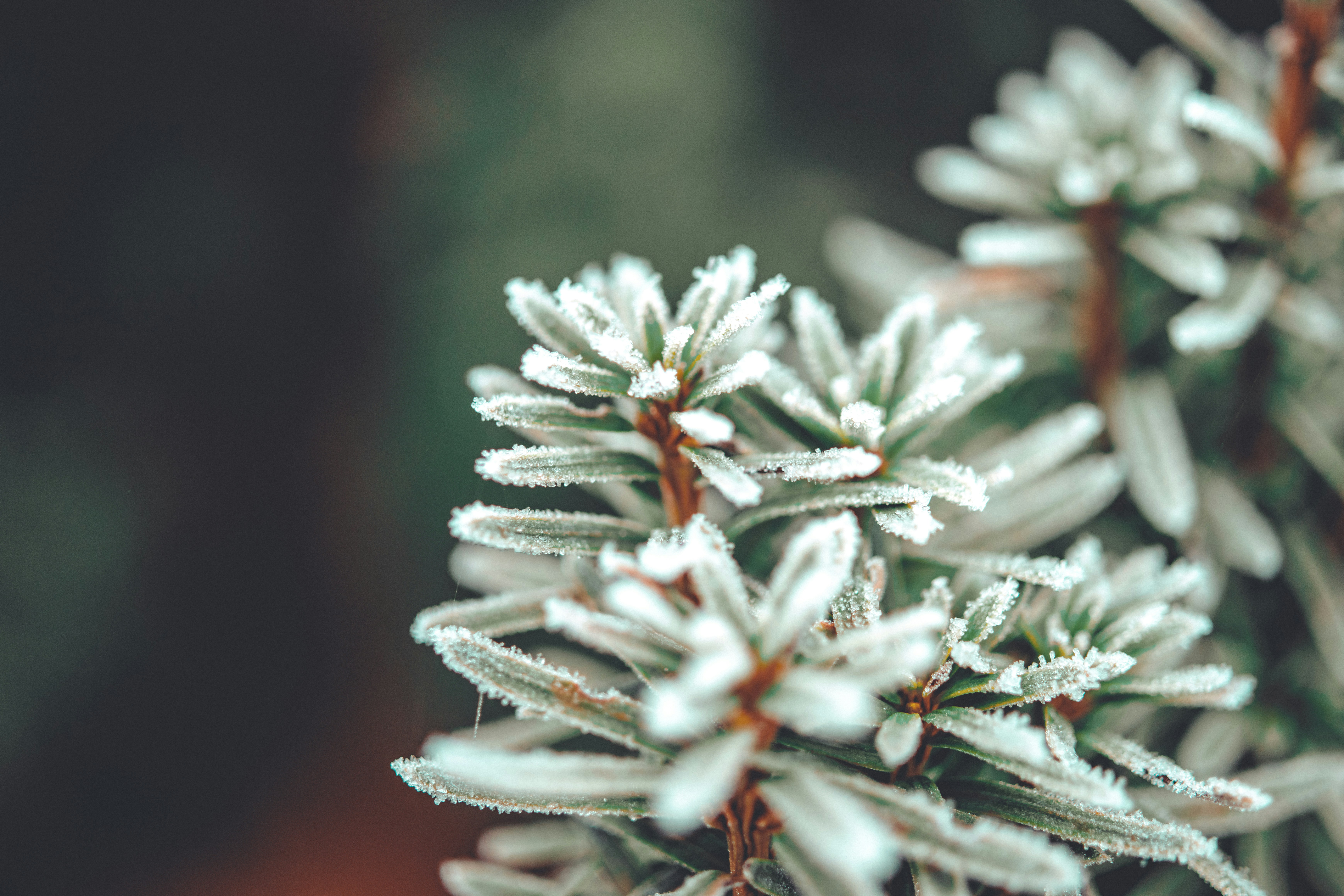 Photo by raimondklavins