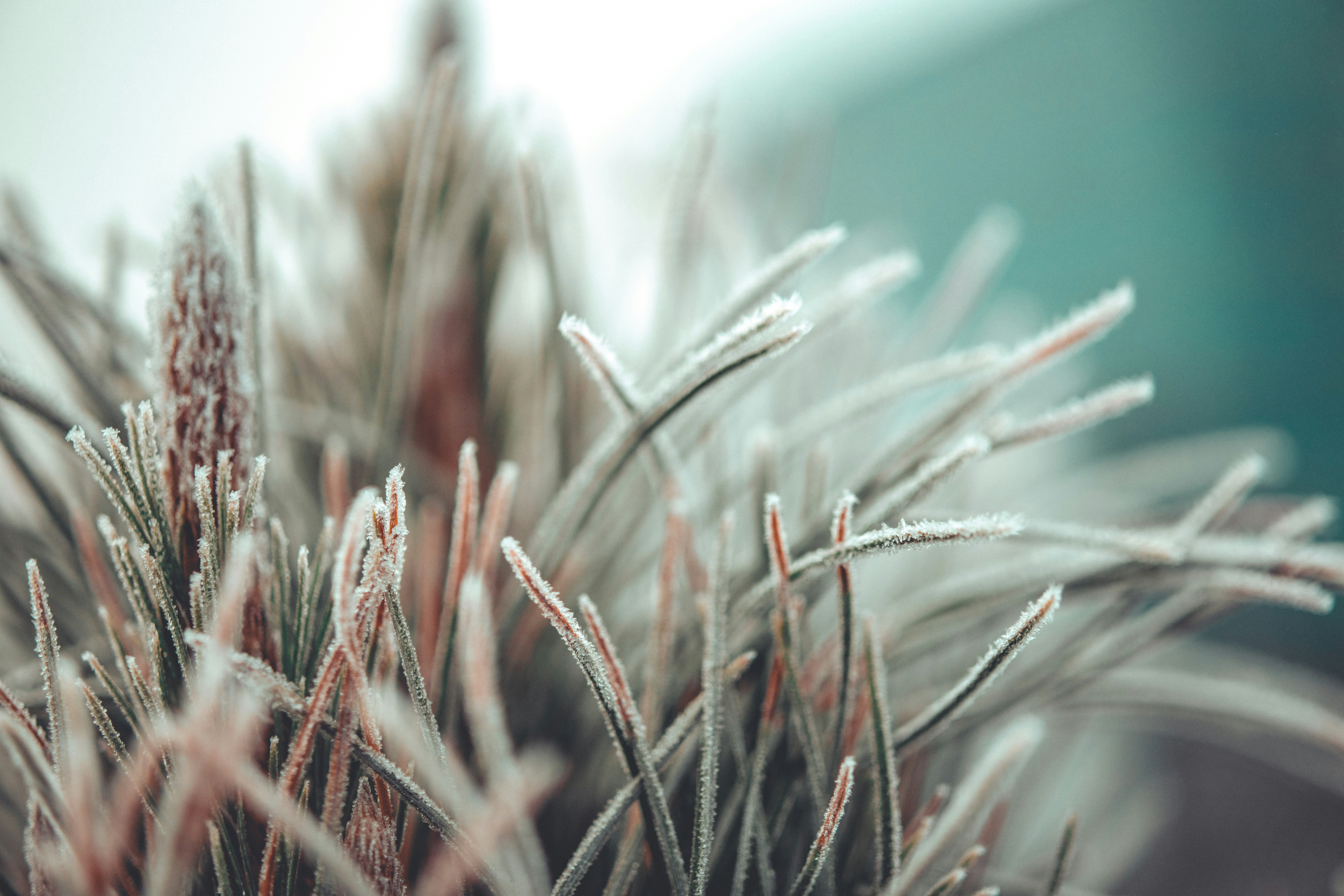 Photo by raimondklavins